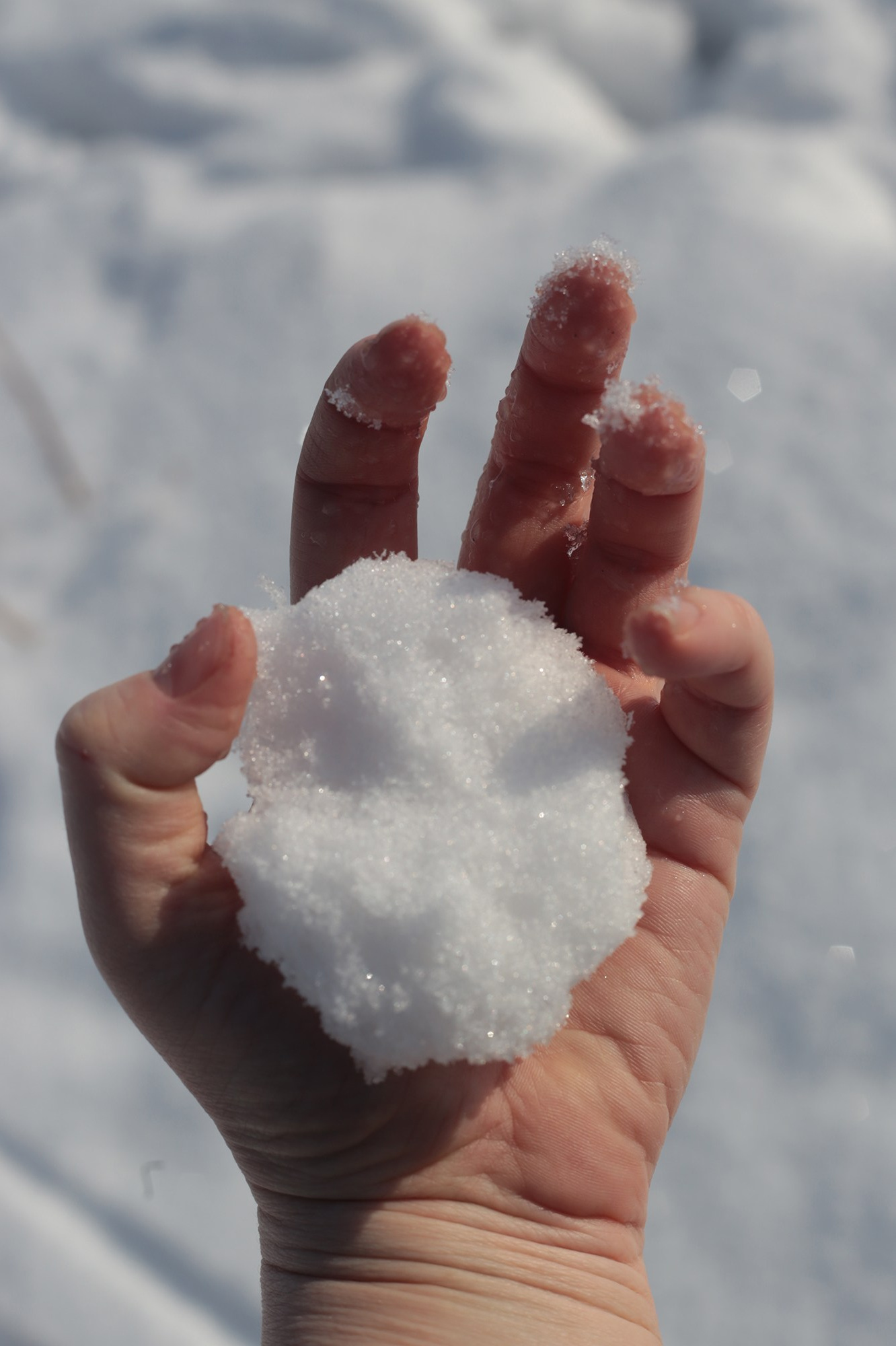 Сибирский путь. Julia Altukhova, multimedia artist