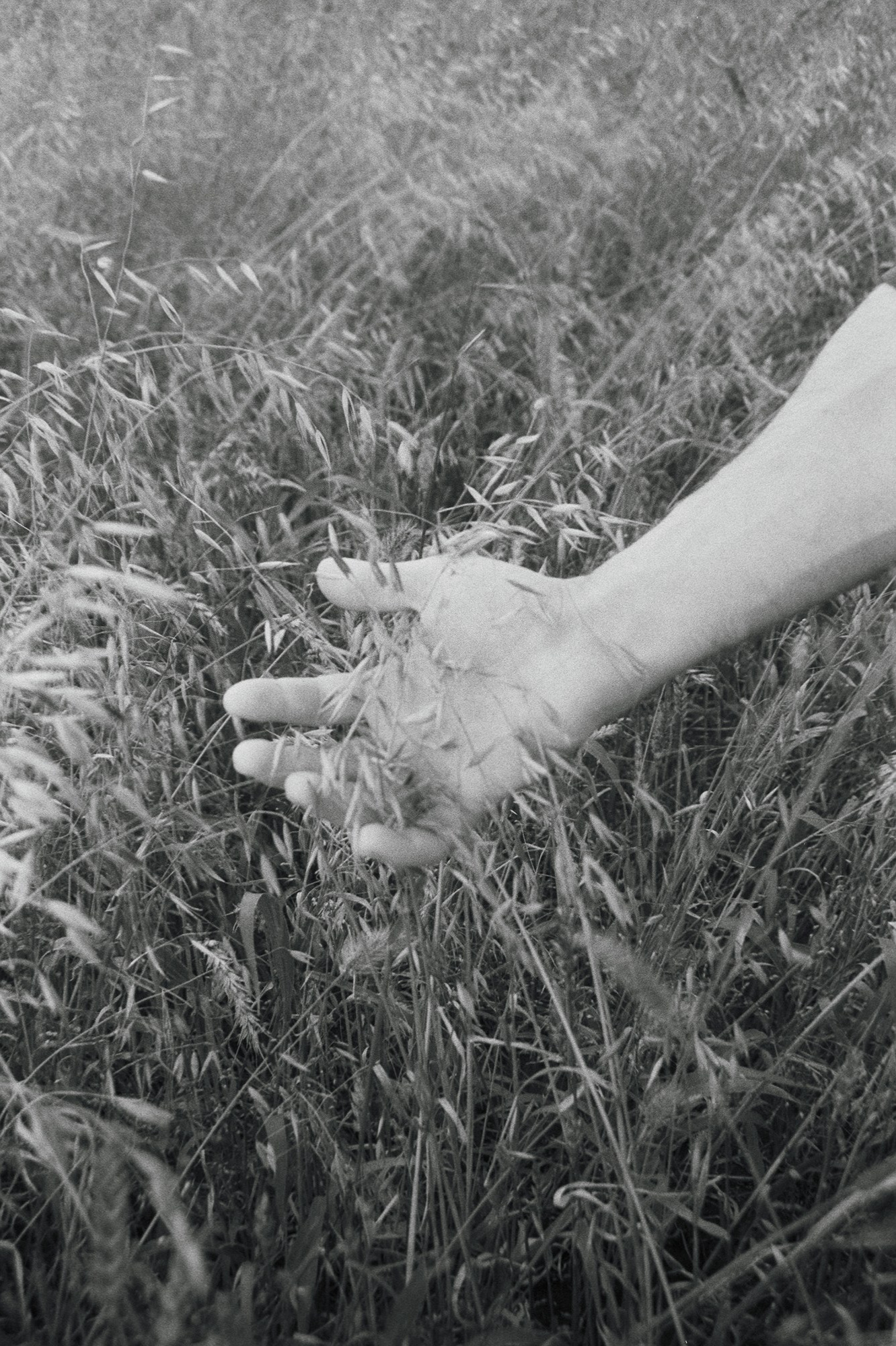 Сибирский путь. Julia Altukhova, multimedia artist