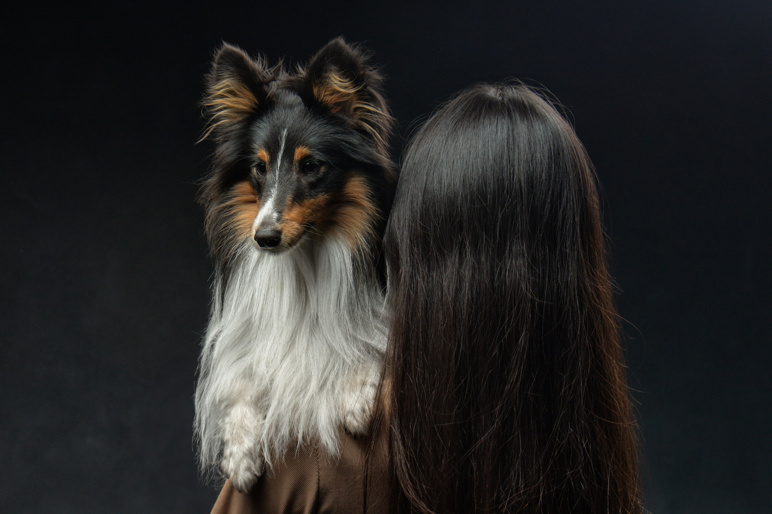 Мои достижения. Фотограф-анималист Юлия Зубкова