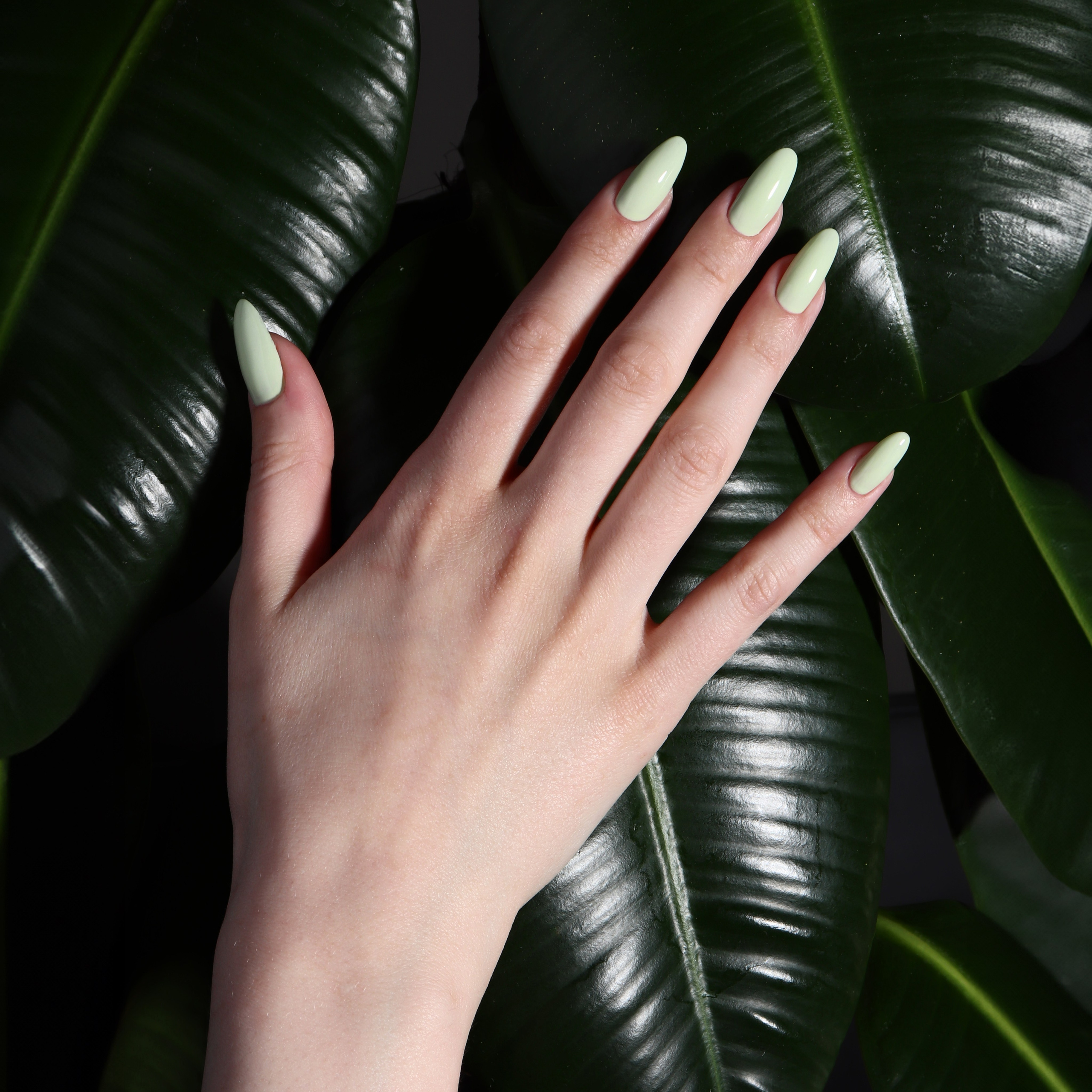 Руки. Фотограф из Москвы — DASHA NOVA | Авторская фотография в разных жанрах