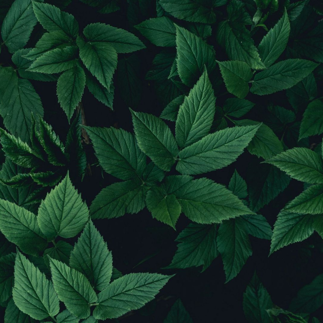 Реальный отзыв психолог. Жизнь после терапии - больше спокойствия и уверенности