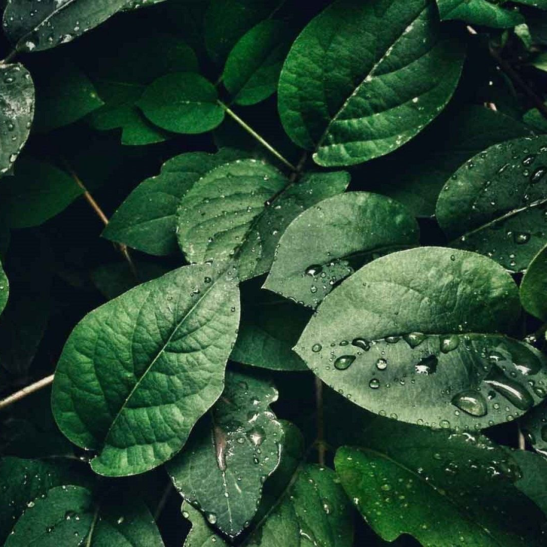 Отзывы Коноплева психолог, как терапия изменила жизнь