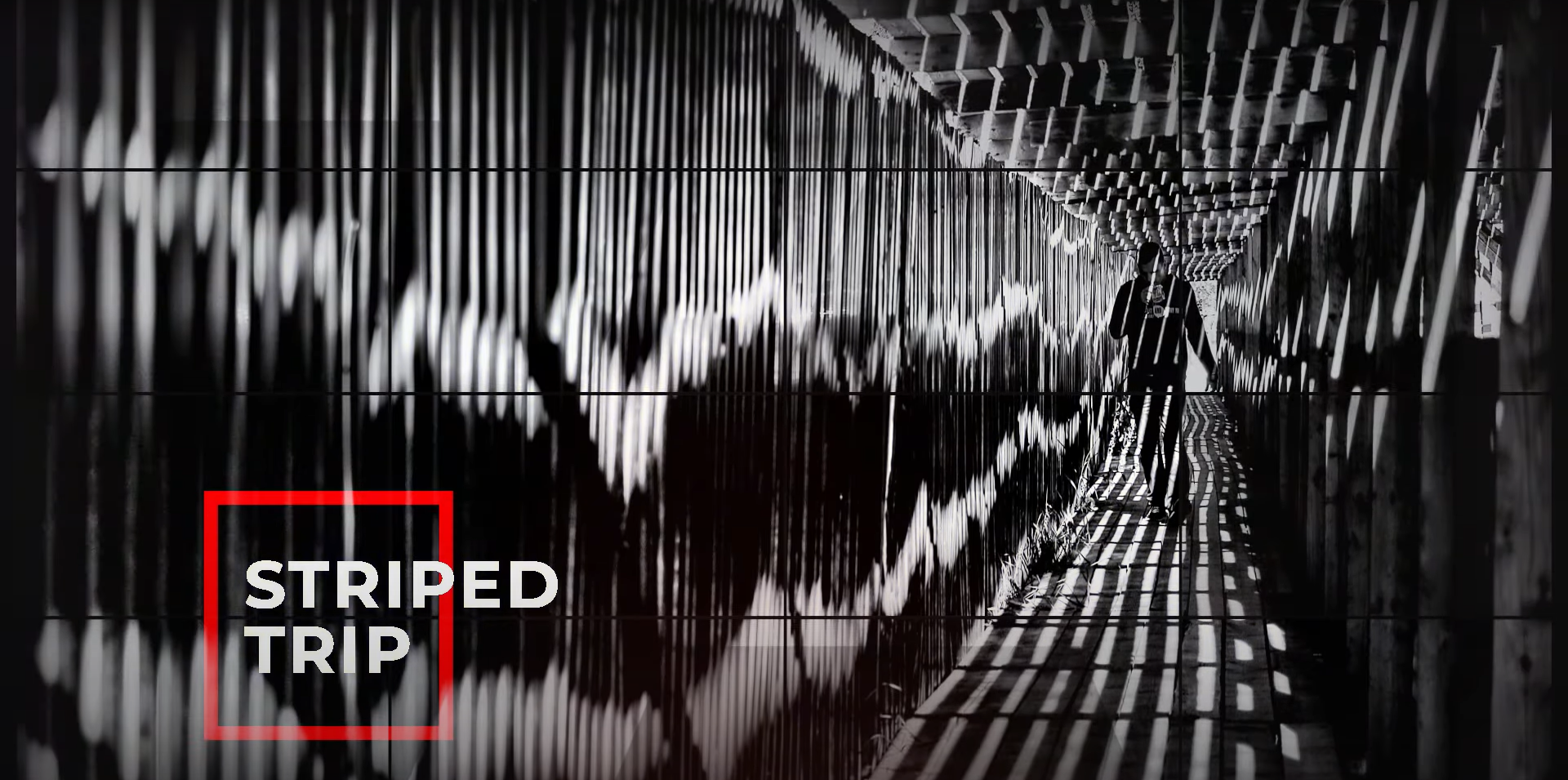 Об авторе. Фотокартины Елены Гонтаренко