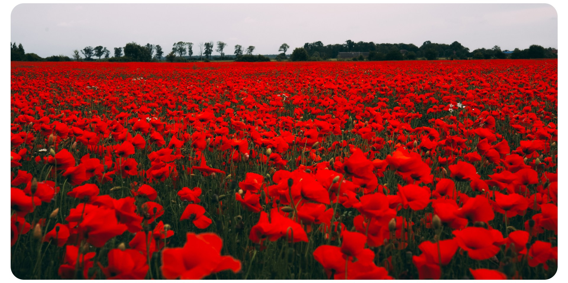 Калининград 2. Фотограф из Москвы — DASHA NOVA | Авторская фотография в разных жанрах