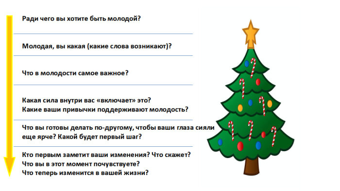 Елена Полякова. Новогодний «Коучинг молодости». Елена Полякова — Профессиональный коуч ACTP ICF, наставник, ментор