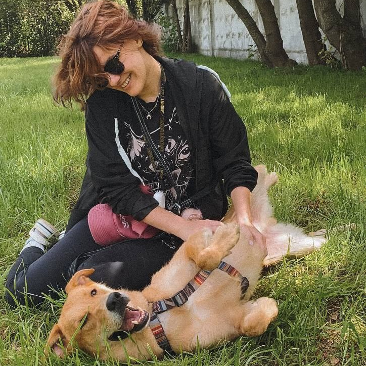 О нас. Забери домой друга