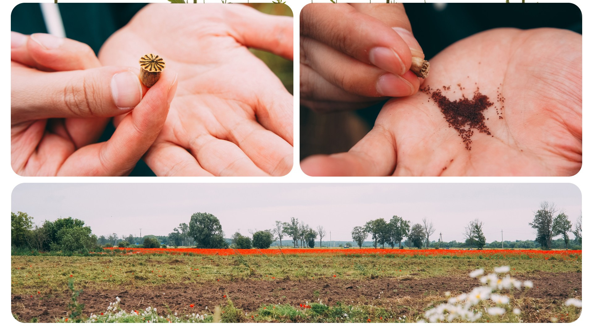 Калининград 2. Фотограф из Москвы — DASHA NOVA | Авторская фотография в разных жанрах