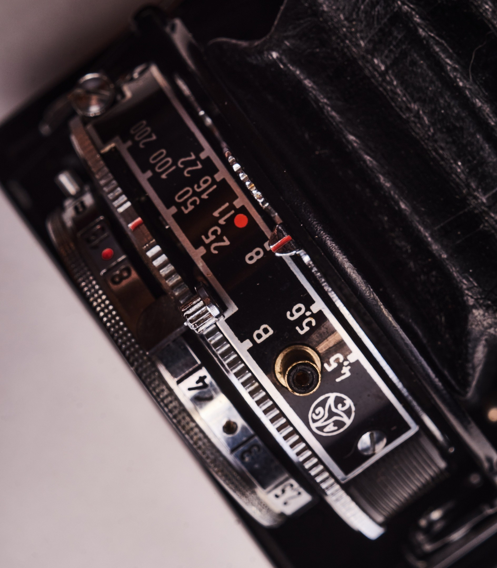 Zeiss Ikon Nettax 513\16 — субъективный обзор. Фотограф в Алматы Артемий Матюнин