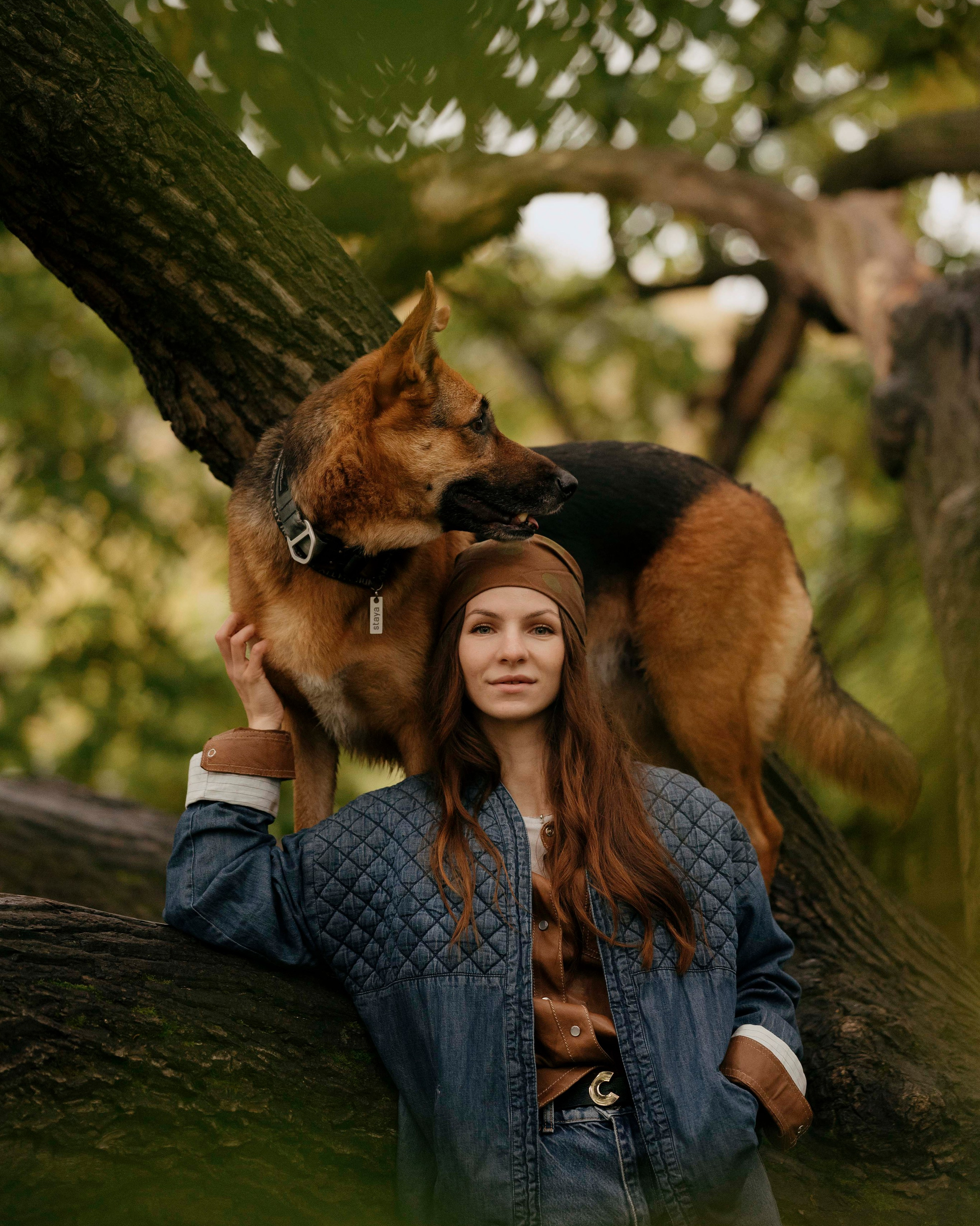 Заказать съемку. Фотограф- анималист Александра Матвеева