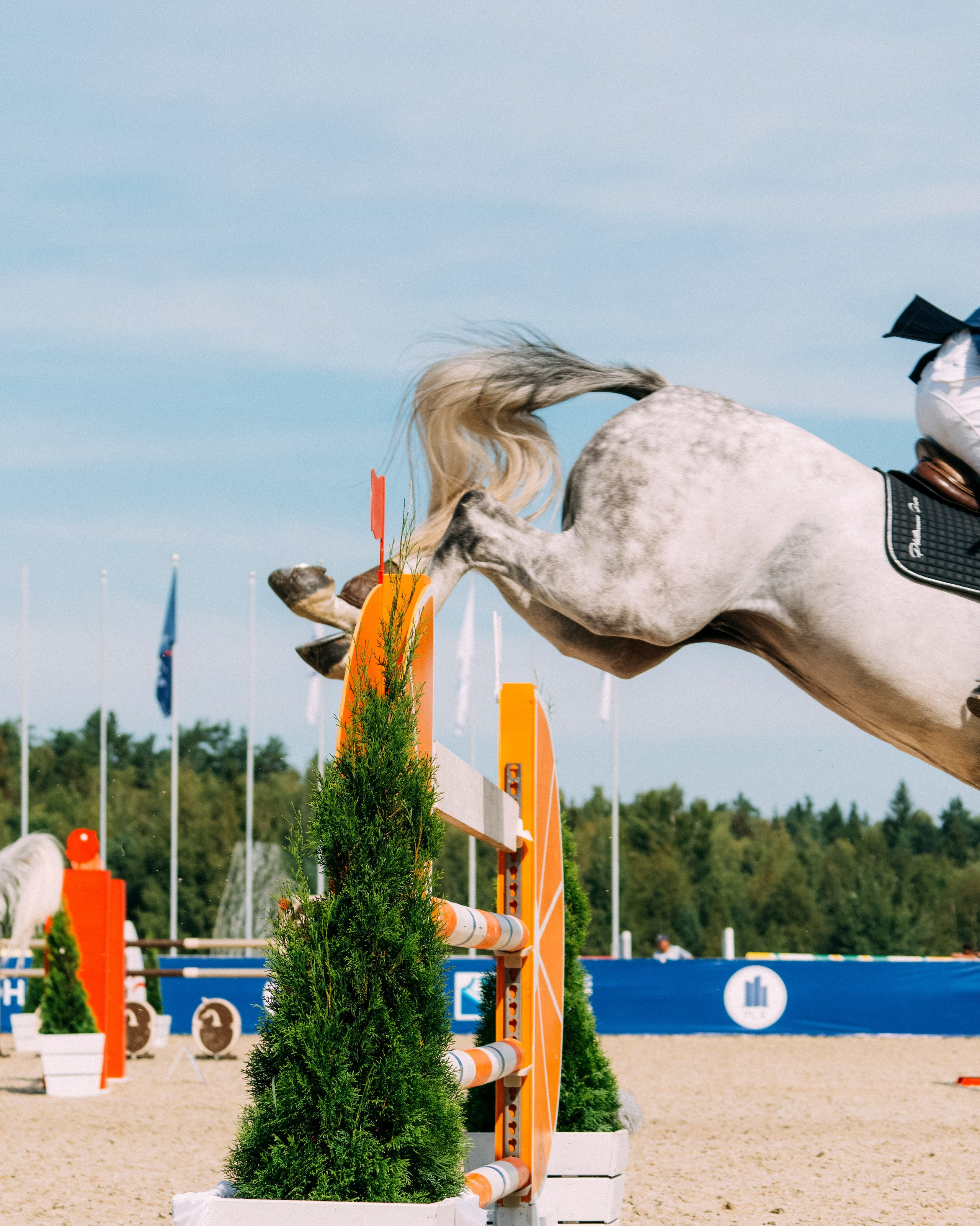 Услуги. Фотограф Москва Кристина Джоанна