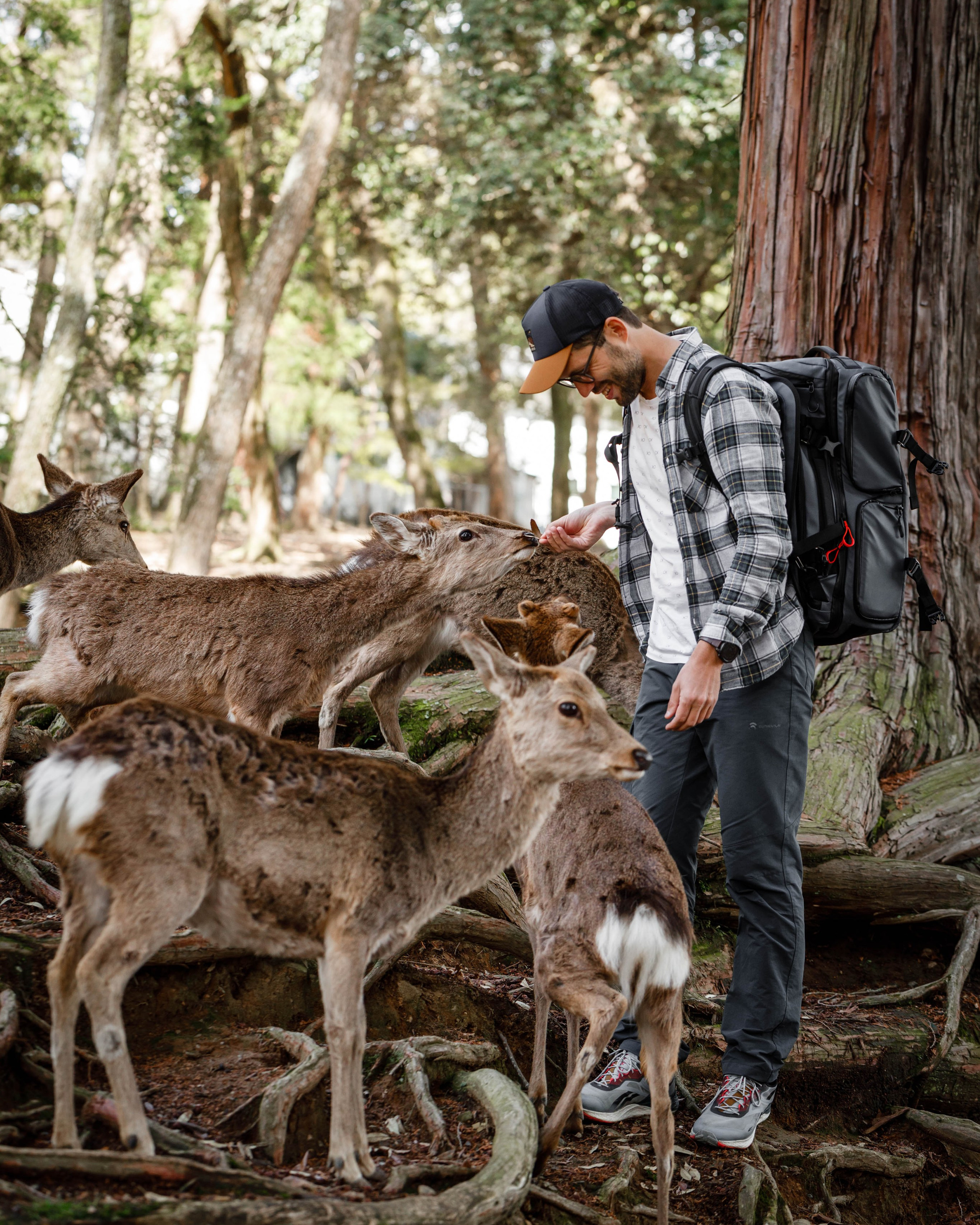 Турецкие приключения: Каппадокия + Ликийская тропа. Свадебный и Студийный фотограф из Казахстана Артем Орлянский
