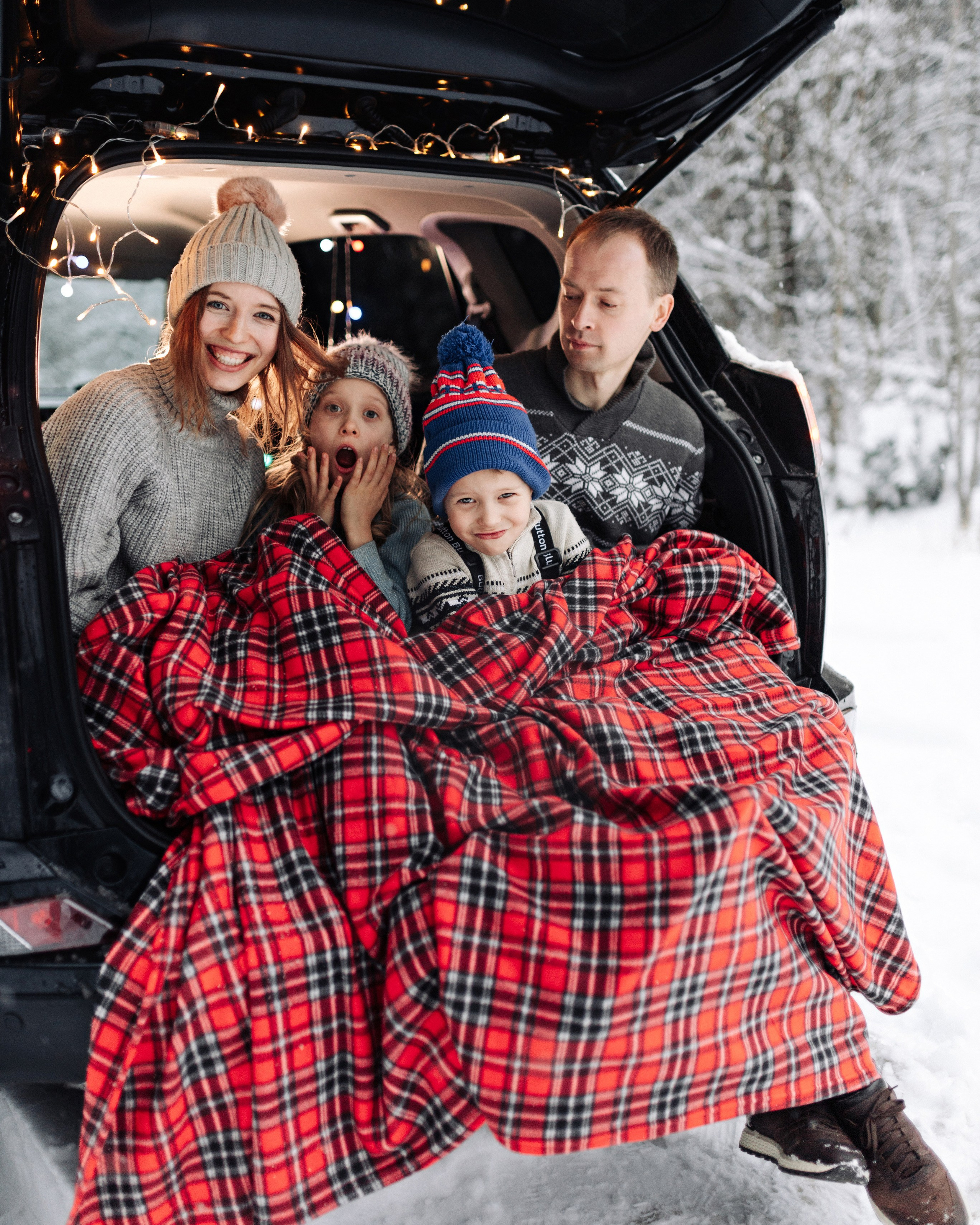 Семейная история