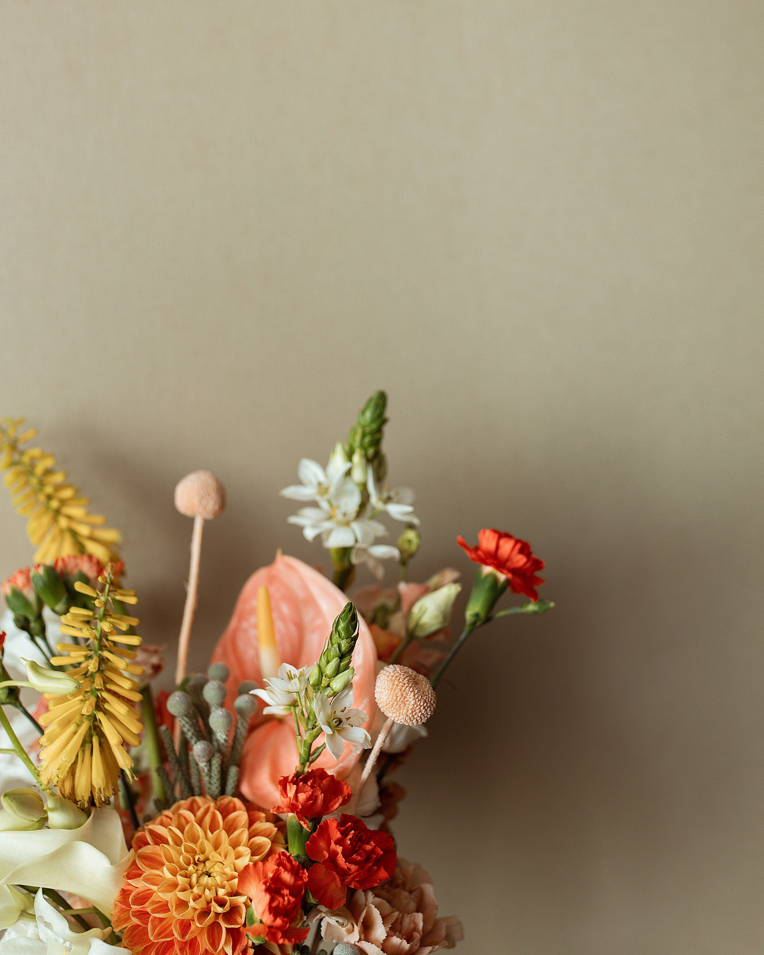 Стоимость 2025. Свадебный фотограф в Туле и Москве Елена Рубцова