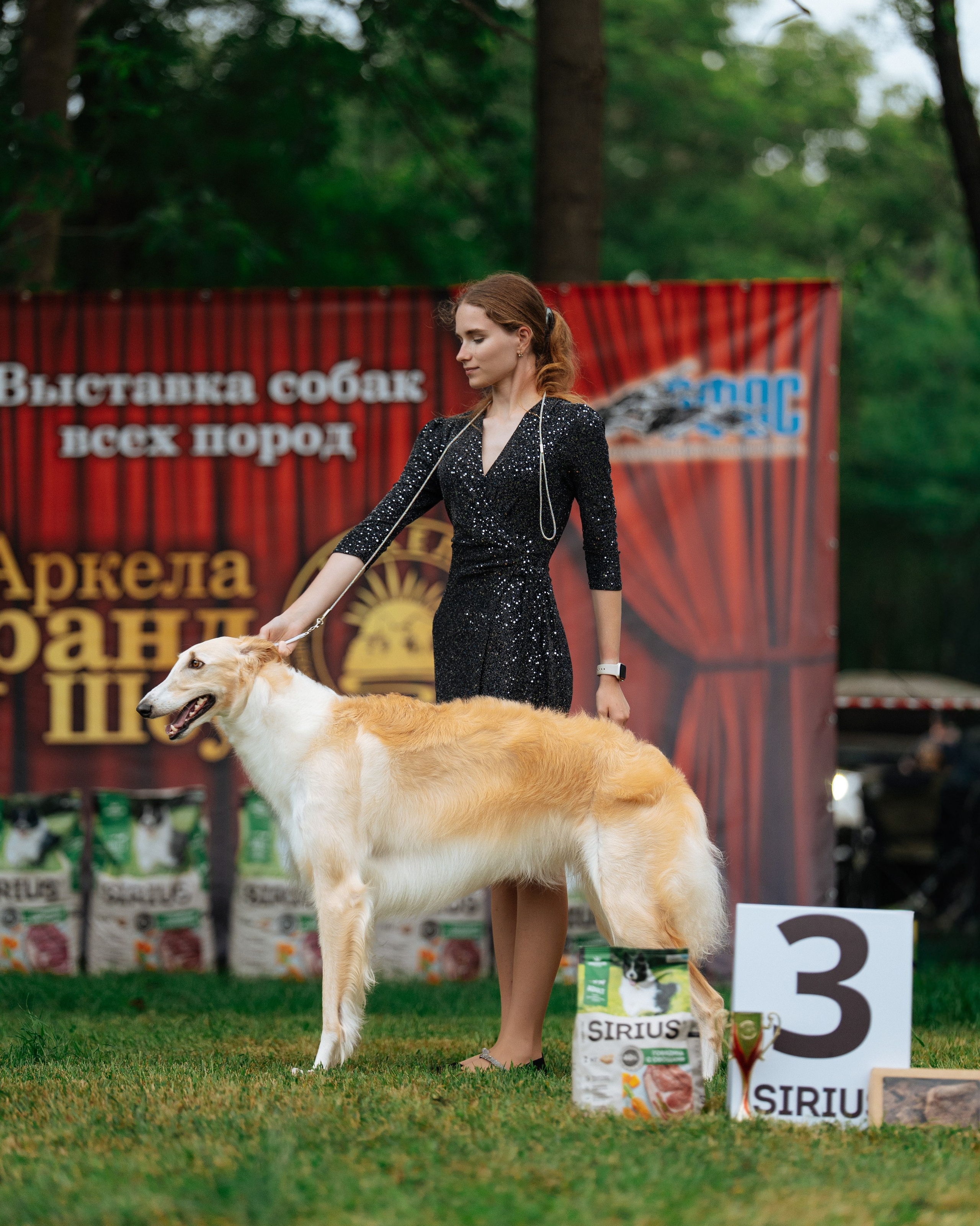 Услуги. Фотограф Анималист Баскакова Наталья Фотосессия с собакой