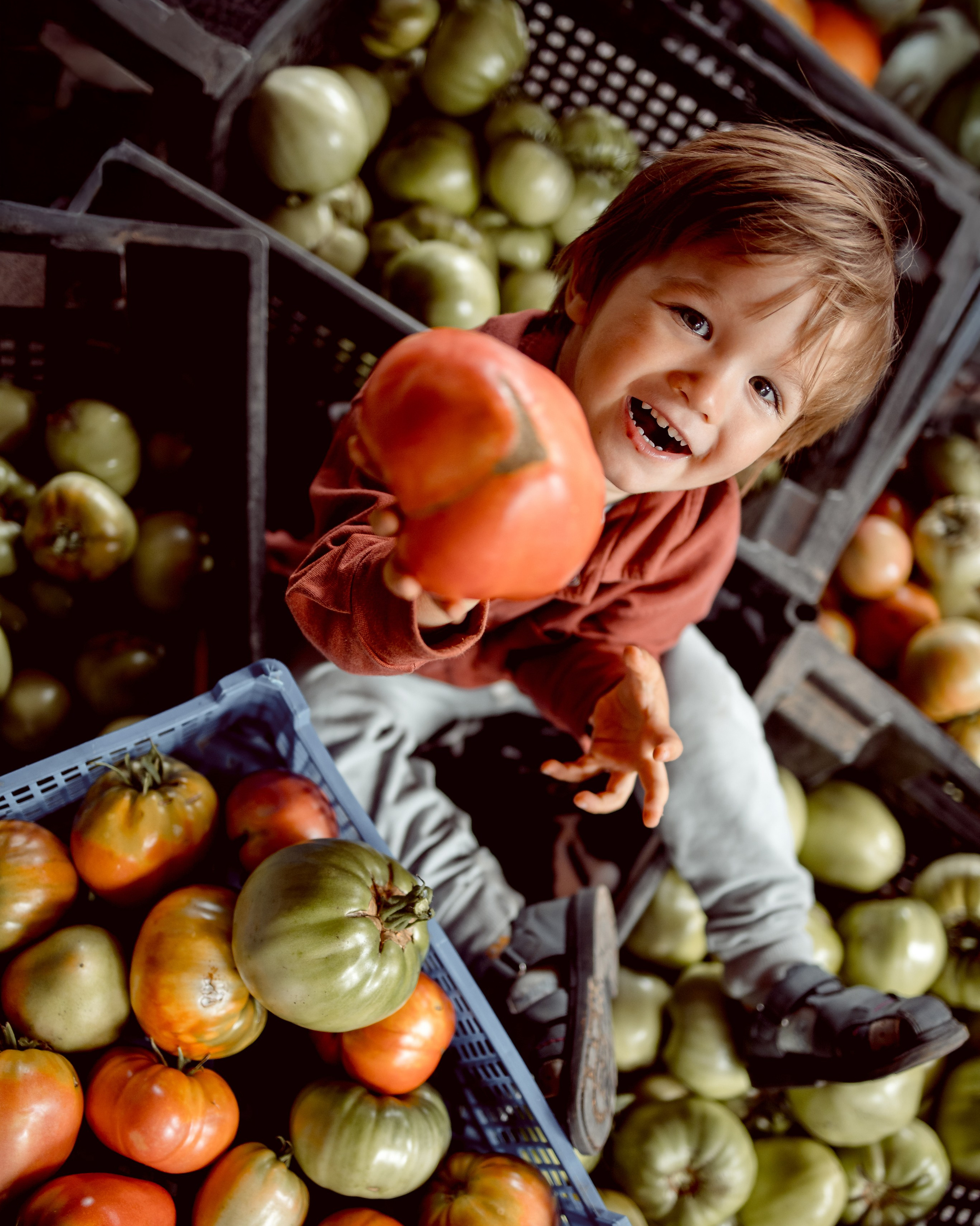 Услуги. Семейный и детский фотограф Рядчикова Екатерина Москва