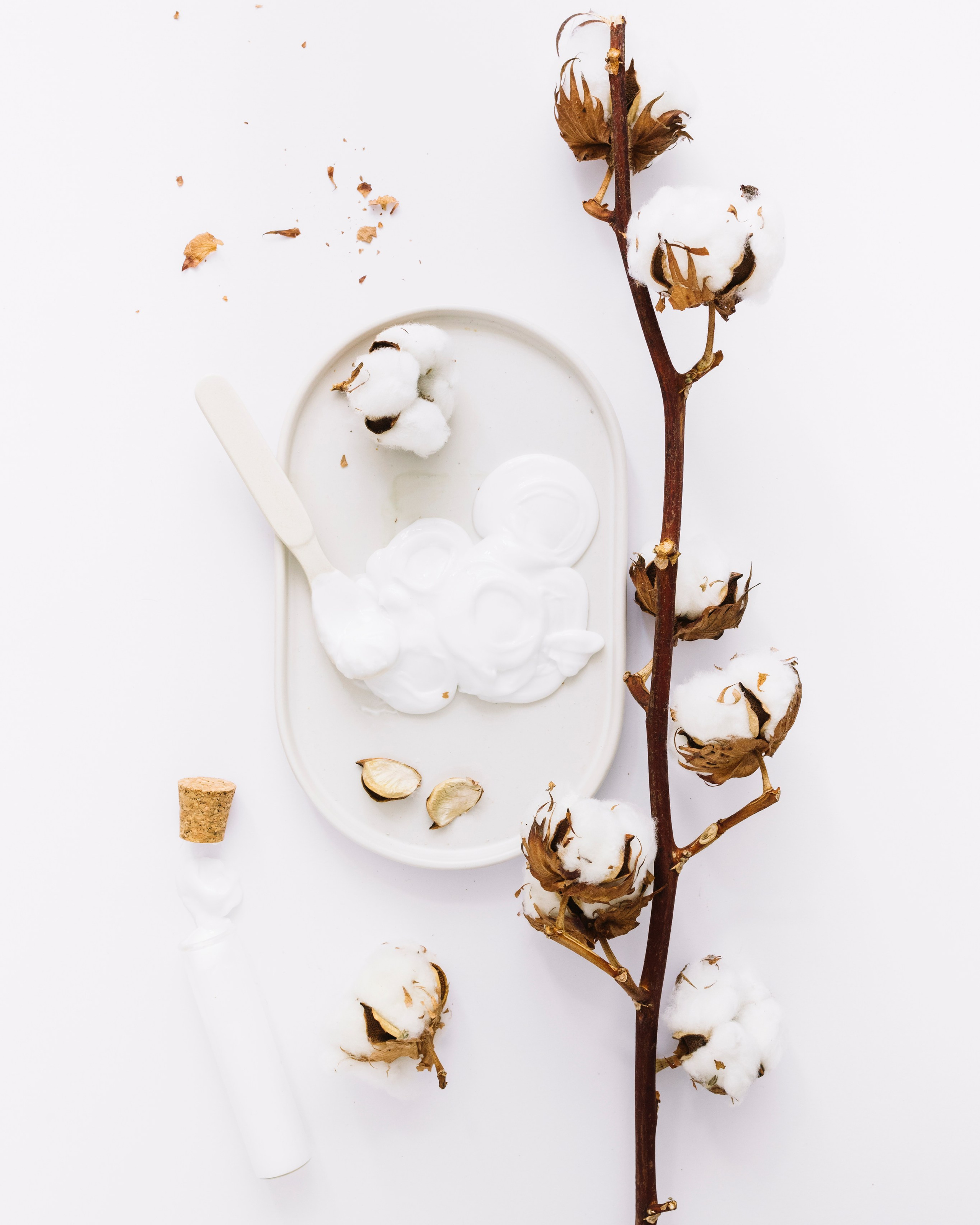 Фото с веткой хлопка