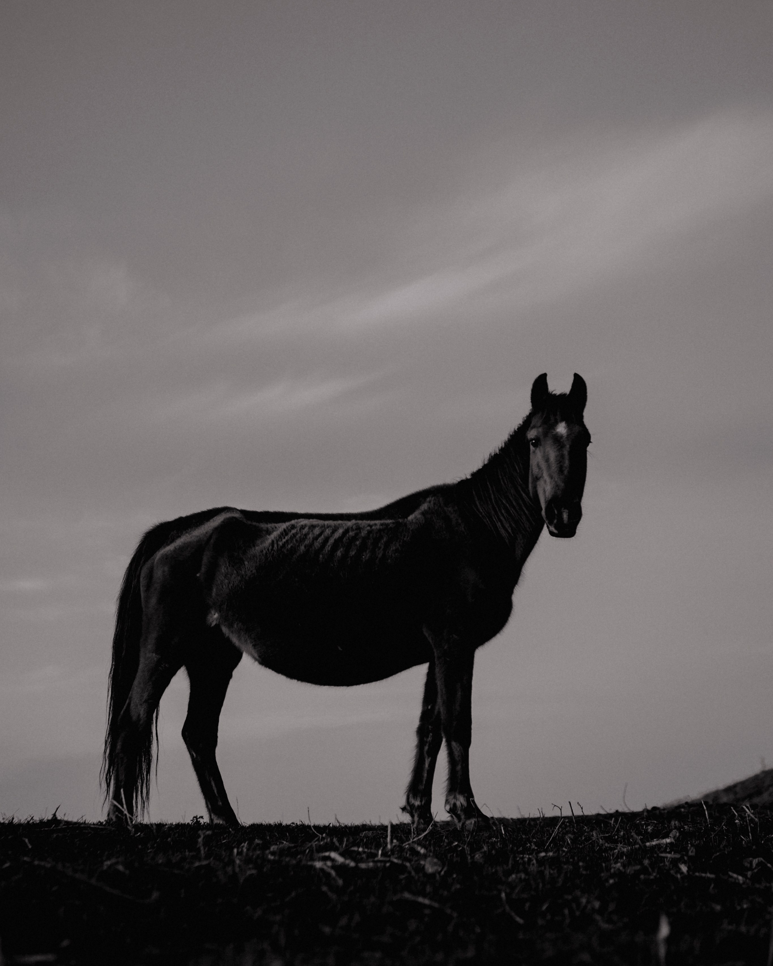 Открытки. Ostryakov Daniil Photographer