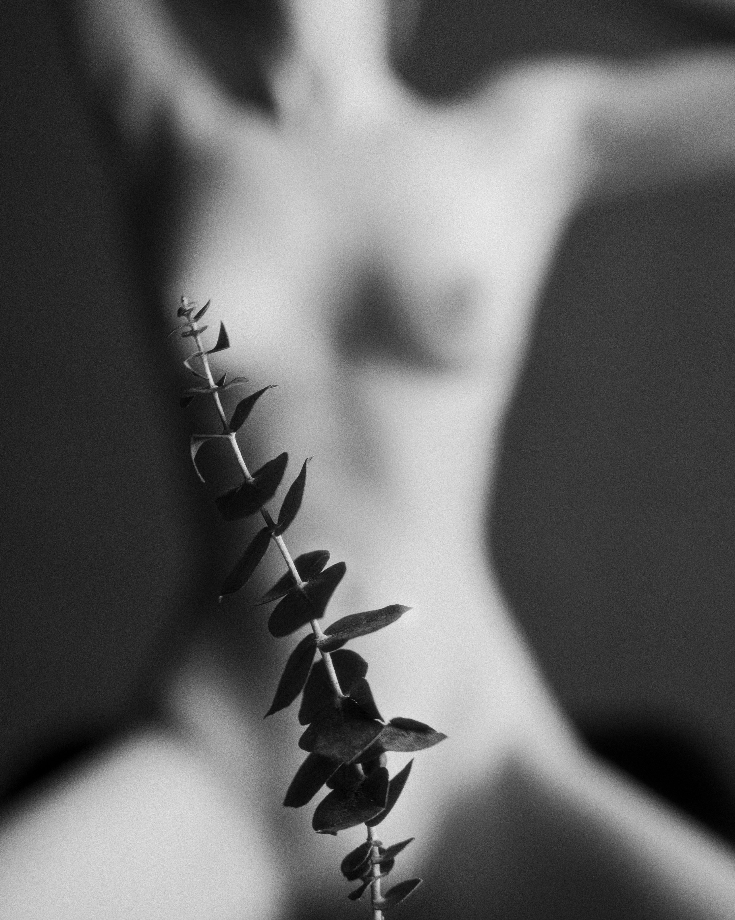 Магазин принтов Максима Созданова. Созданов Максим фотограф во Владивостоке