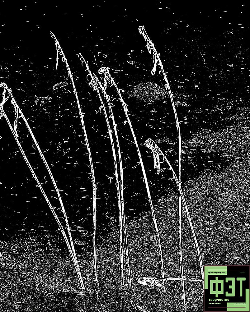 Альбом 22.03.26 в рамках ФЭТ