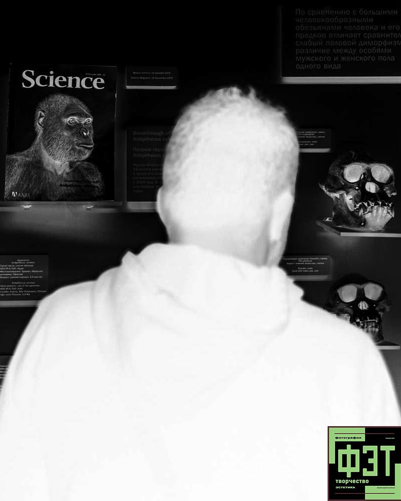 Альбом 19.04.26 в рамках проекта ФЭТ