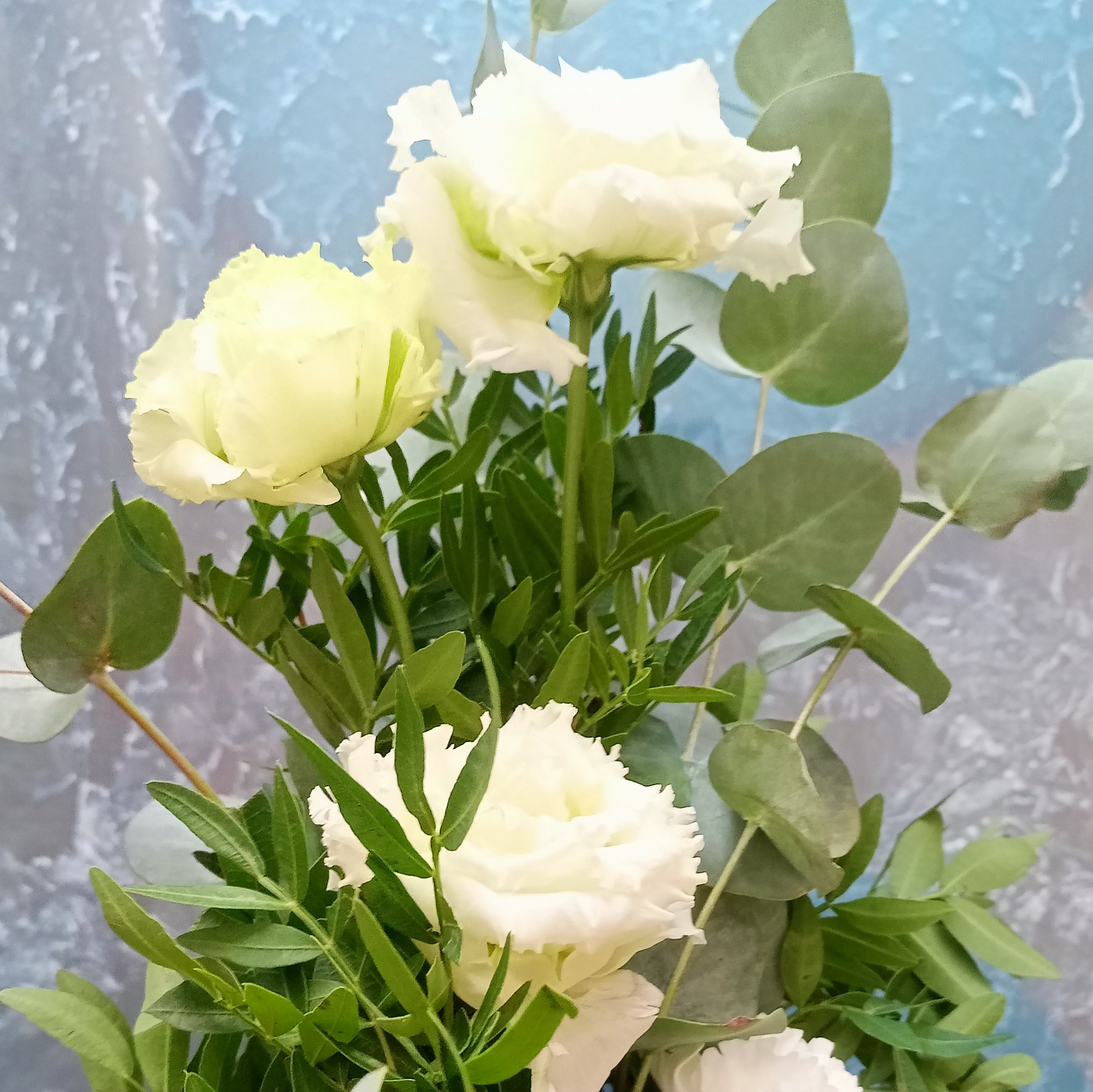 Закупка реквизита для рекламной съемки