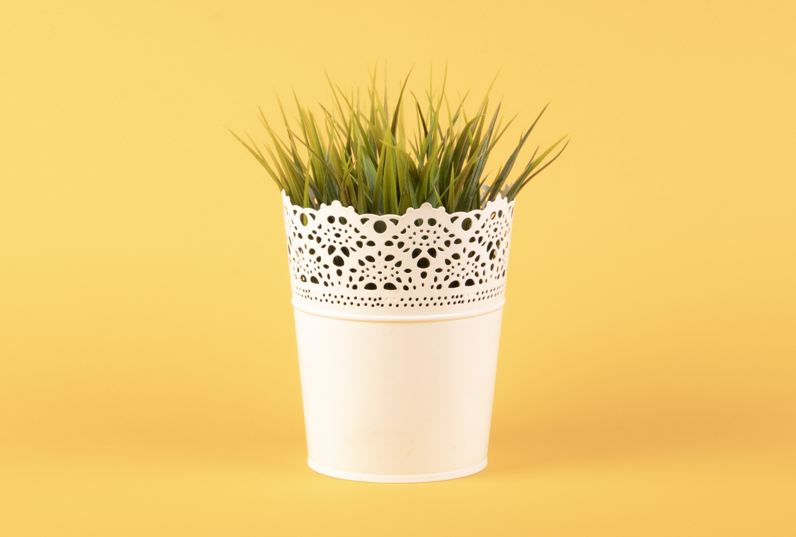 Leclerc studio. Leclerc-studio