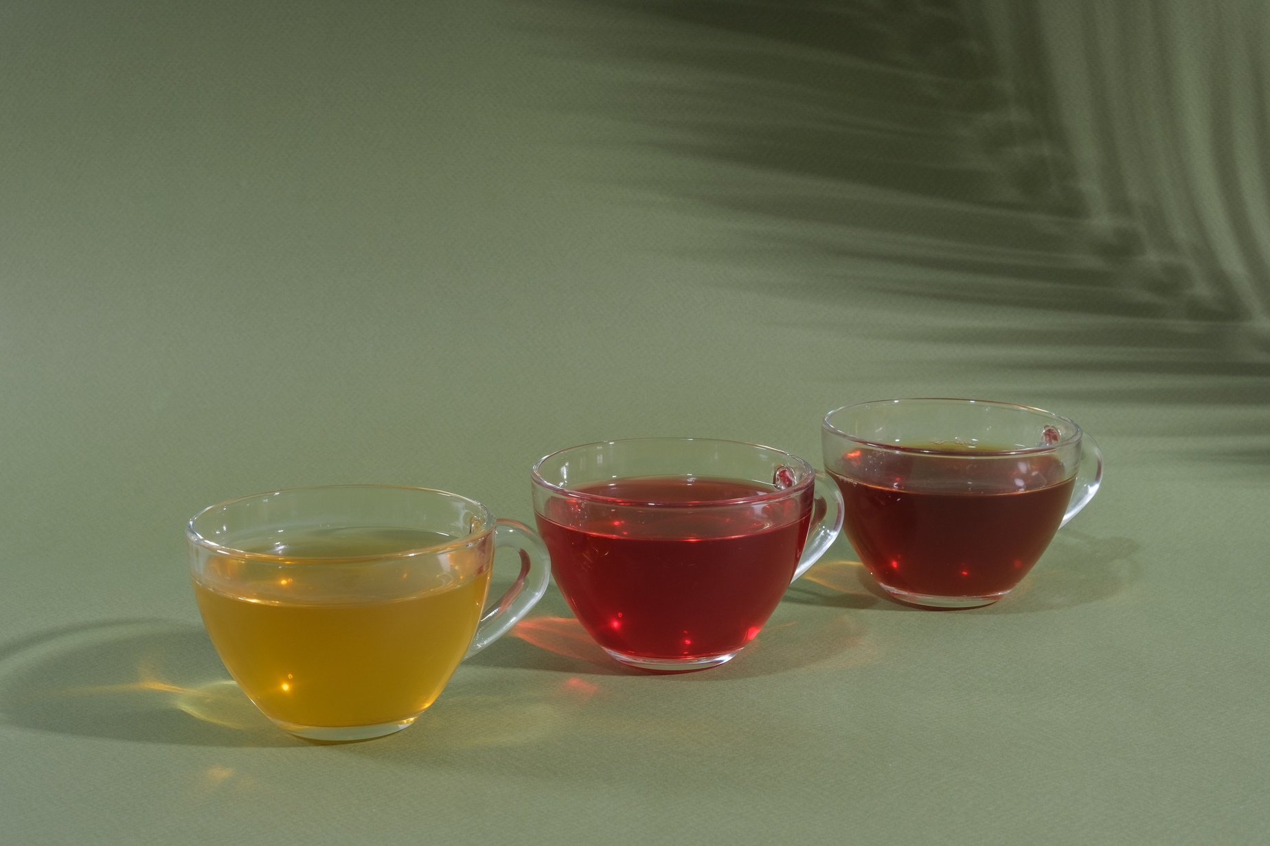 Съемка нового меню для СПК ИСКРА. StarDust