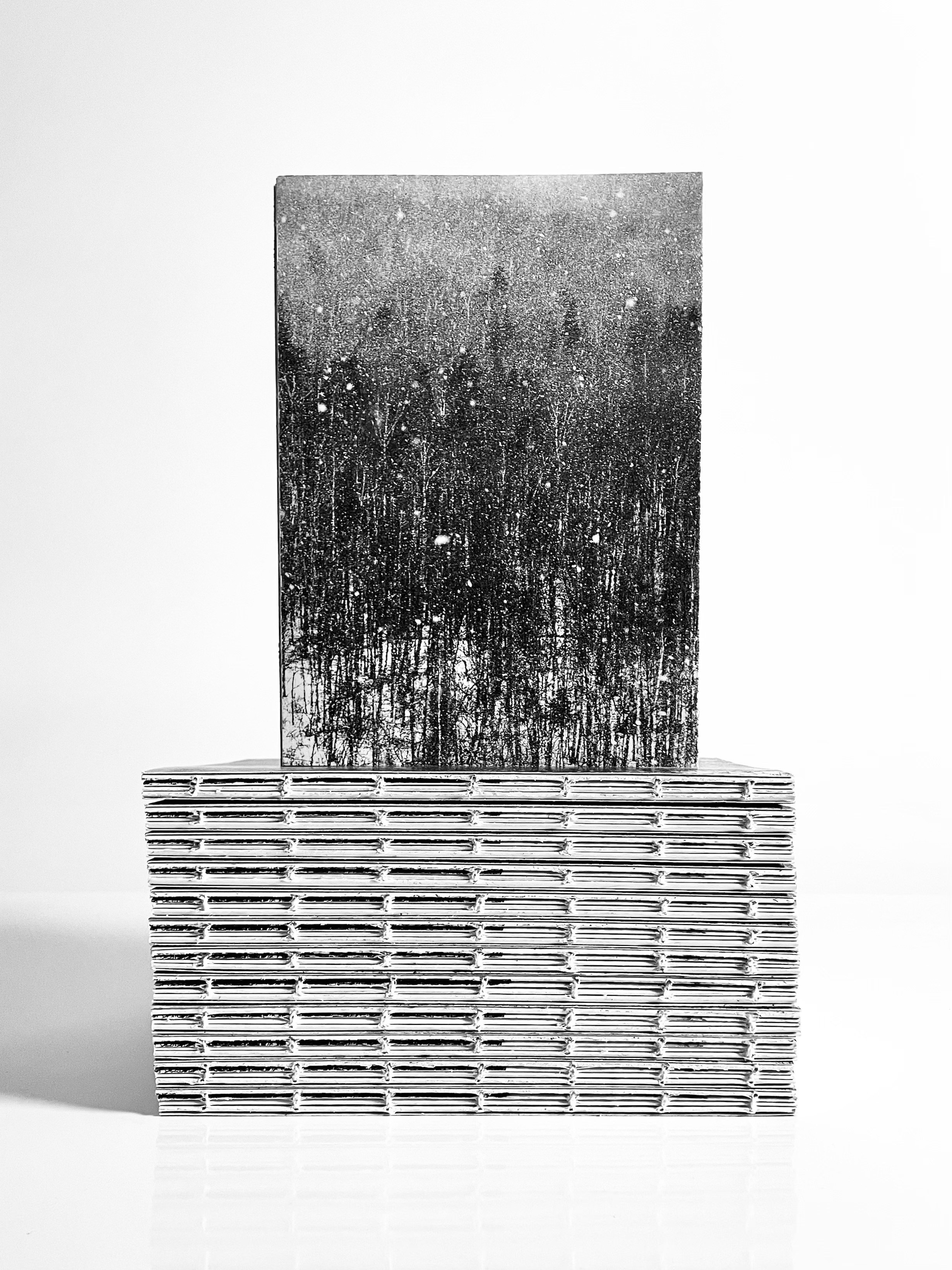 Who broke the snowman?. Natalia Oreshina documentary and art photographer from St. Petersburg