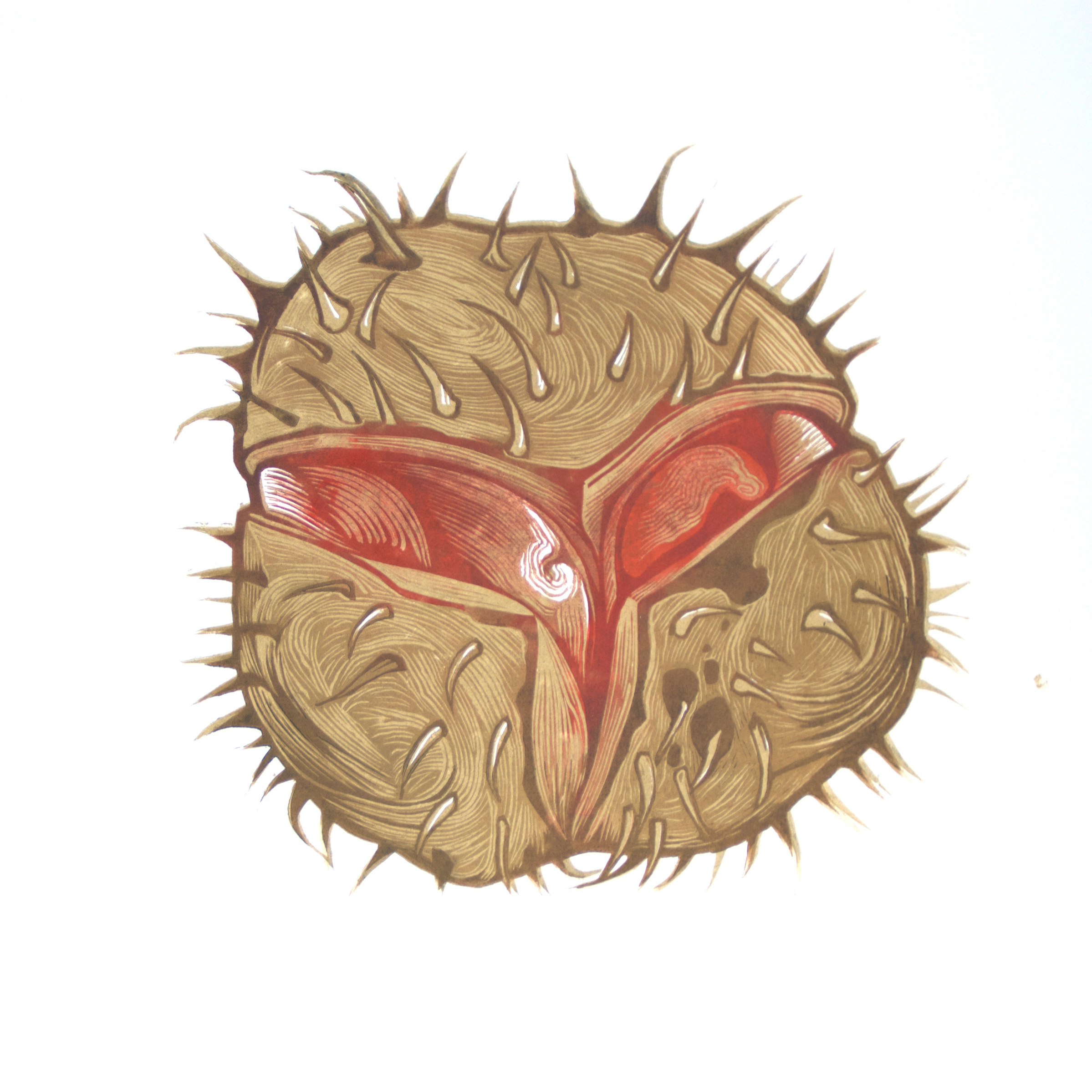 Купить. Фотографии Юлия Стремского