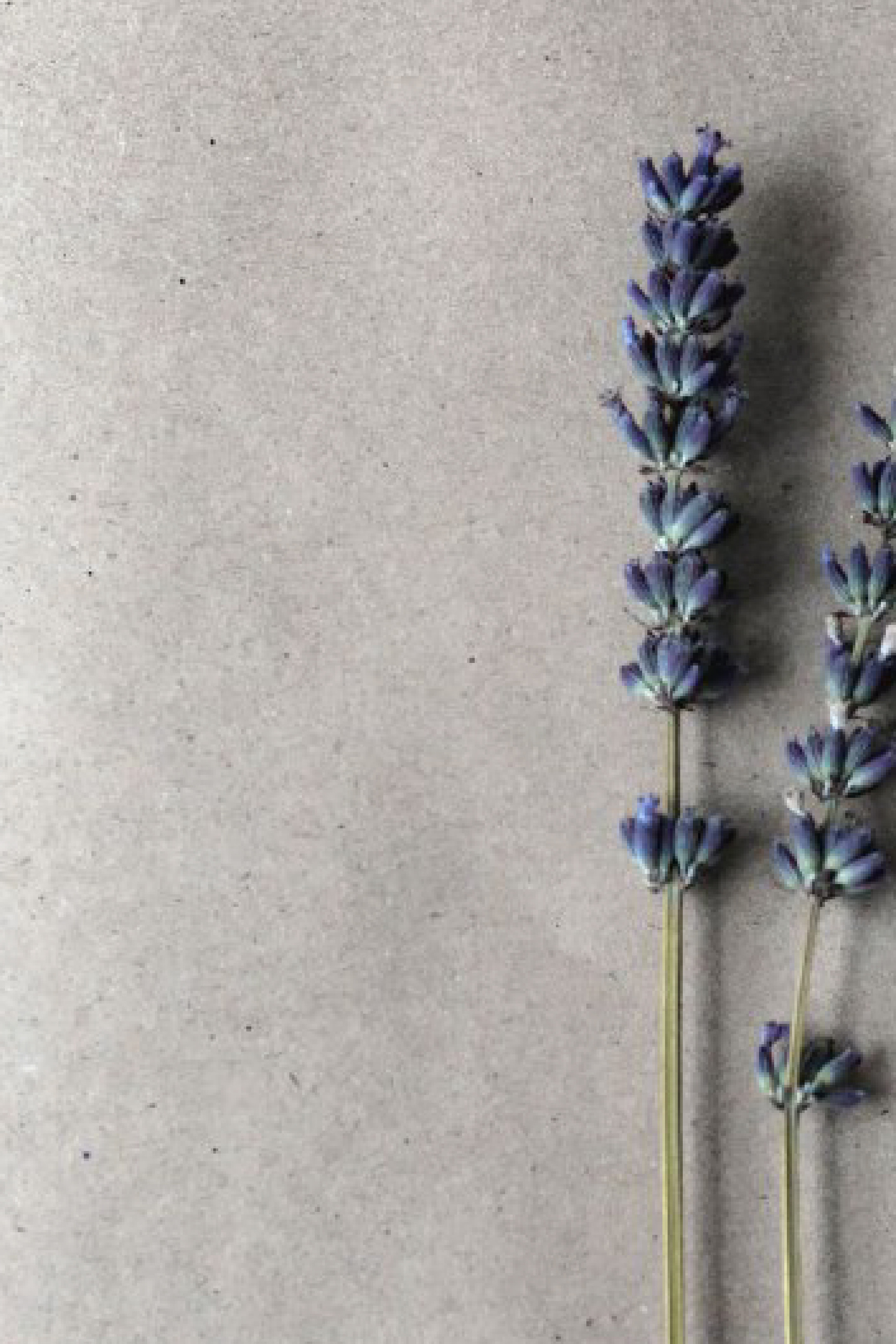 Услуги. Семейный фотограф в Анапе Светлана Тернопол