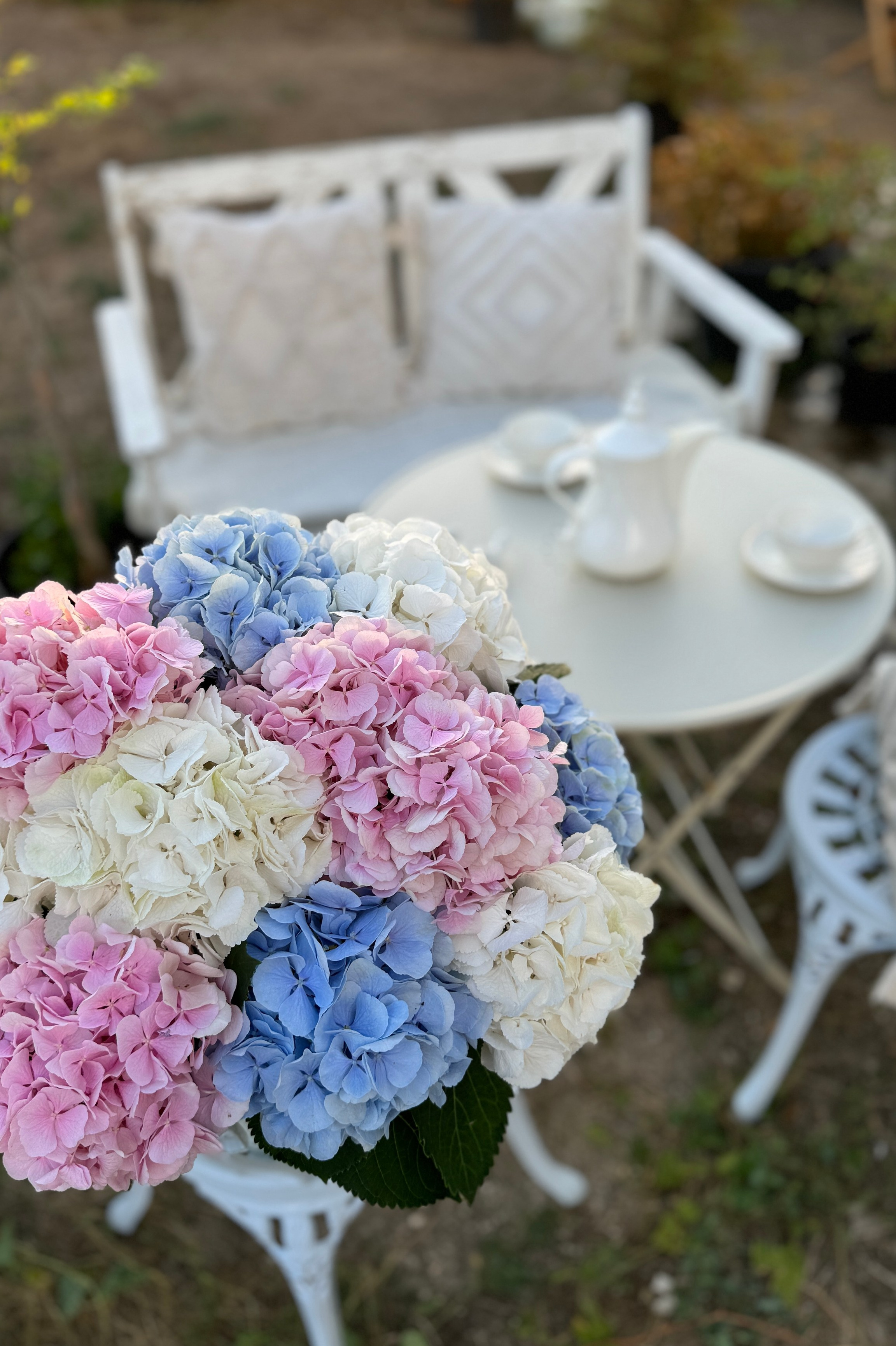 Фотостудия Натальи Забродской