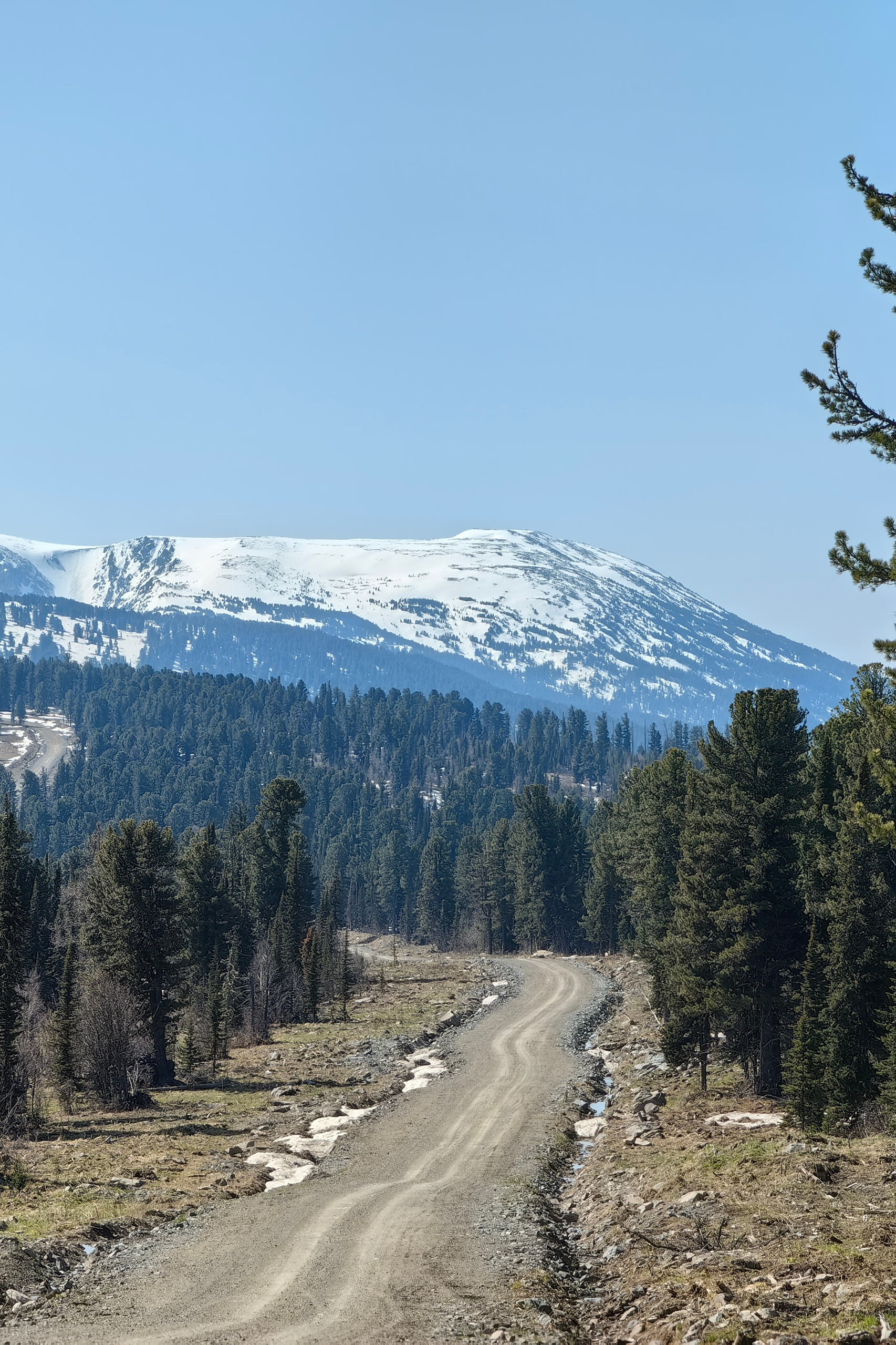 Банк земельных участков Алтая