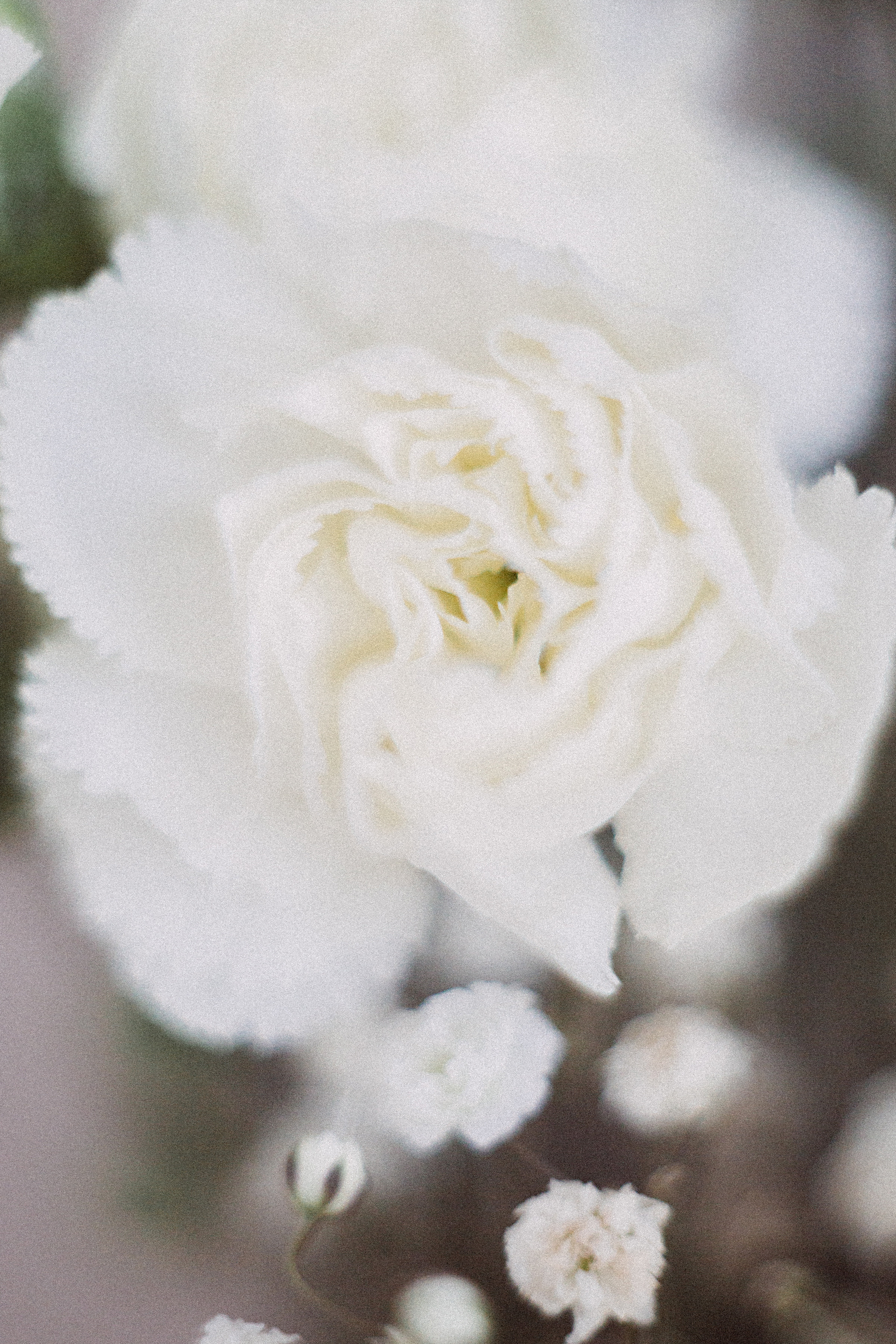 Когда остается послевкусие. Семейный и контент фотограф в Москве Вероника Швец