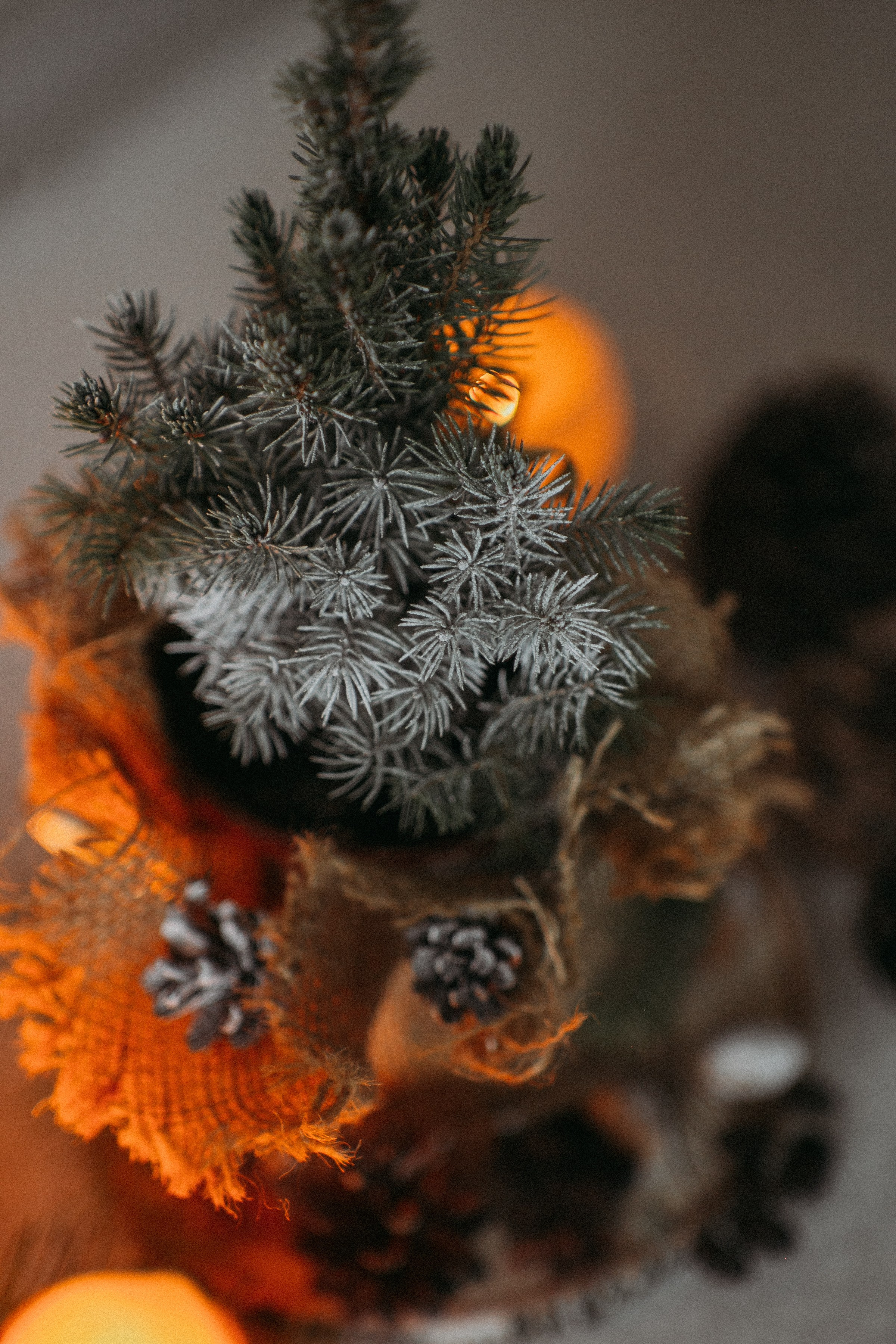 С Новым Годом и Рождеством Христовым!. Семейный и контент фотограф в Москве Вероника Швец