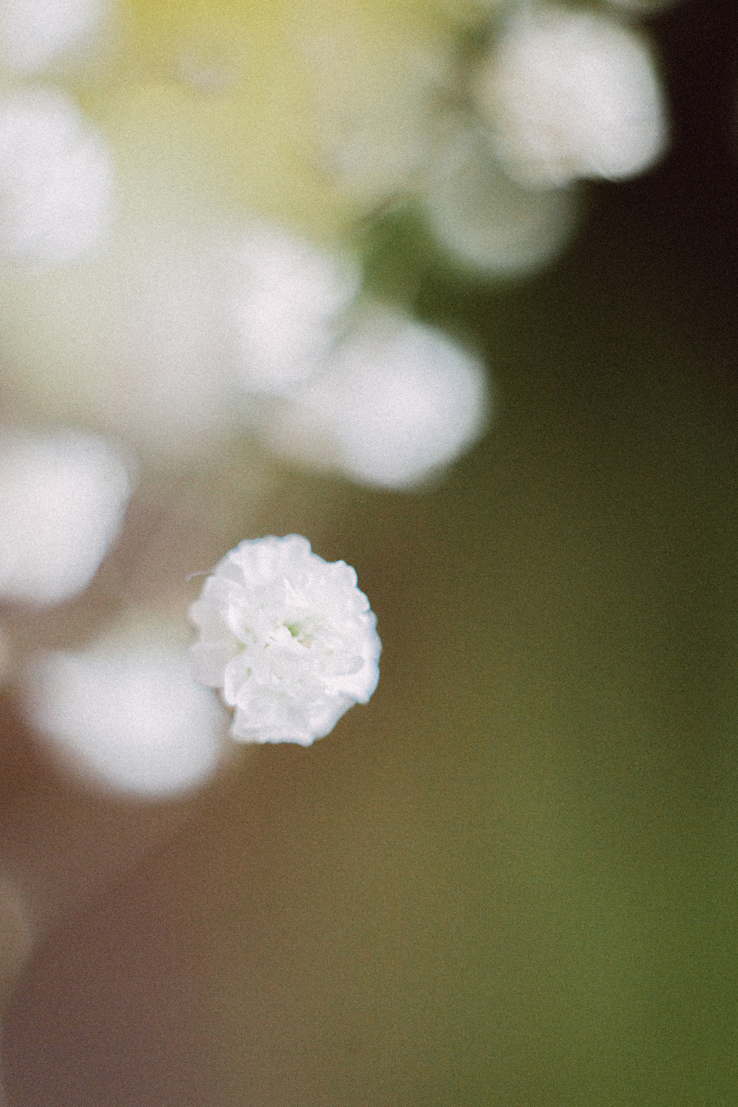 Когда остается послевкусие. Семейный и контент фотограф в Москве Вероника Швец