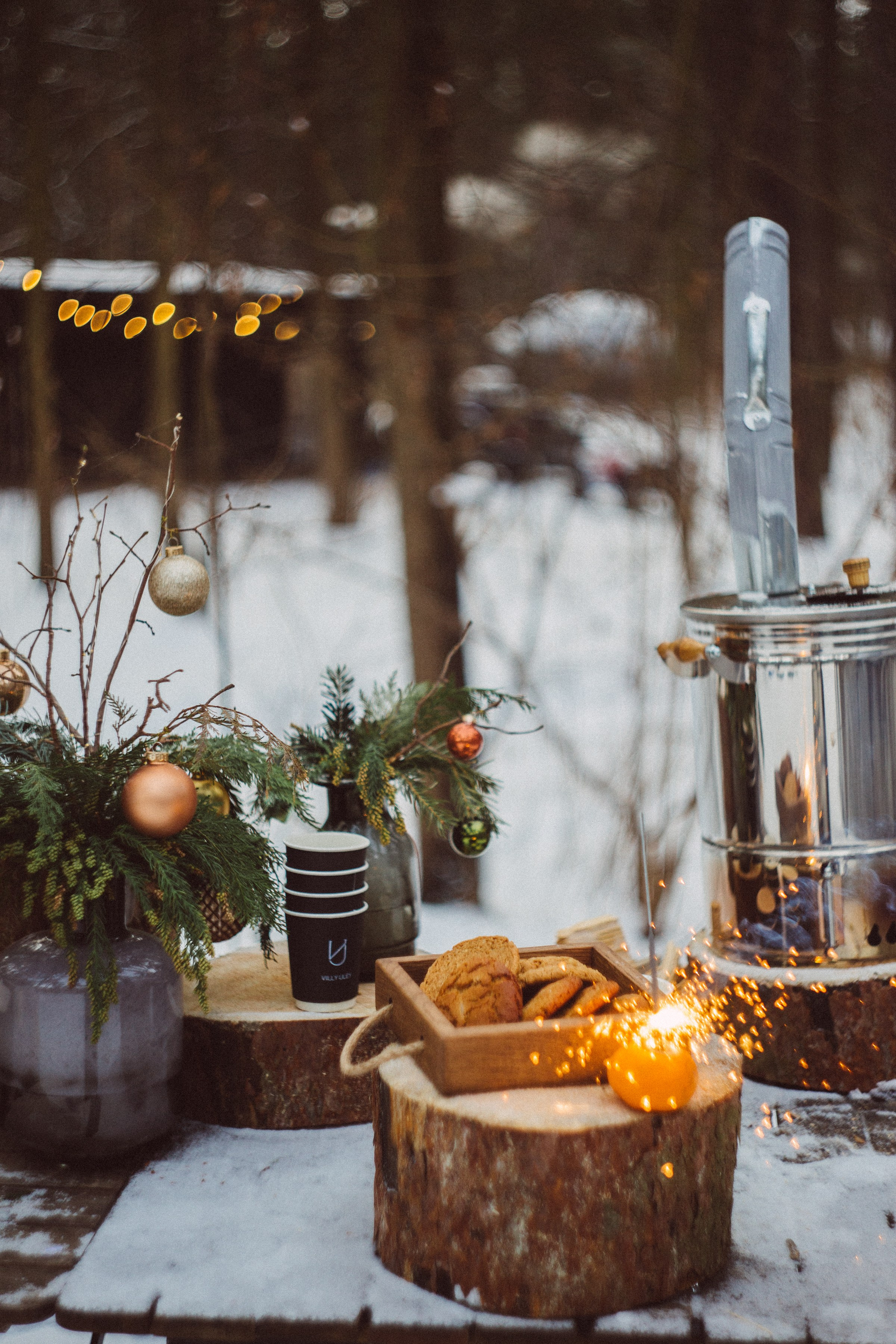 С Новым Годом и Рождеством Христовым!. Семейный и контент фотограф в Москве Вероника Швец
