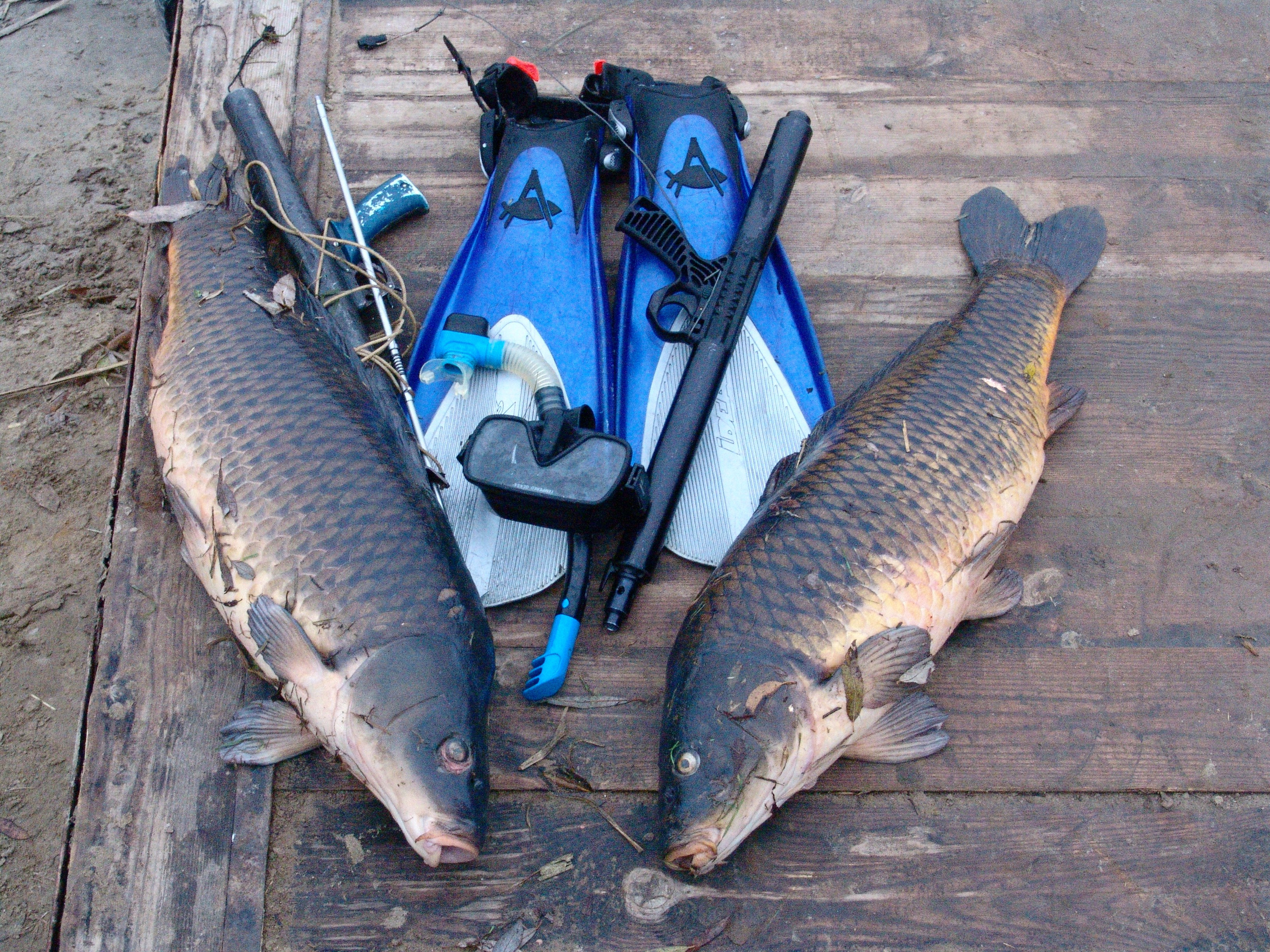 Подводная охота в дельте Волги, поездка из Минска