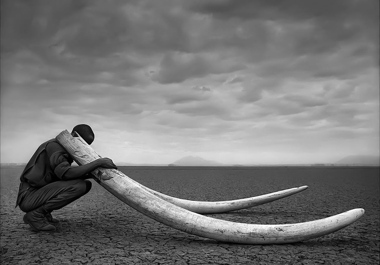 Художественная фотография 