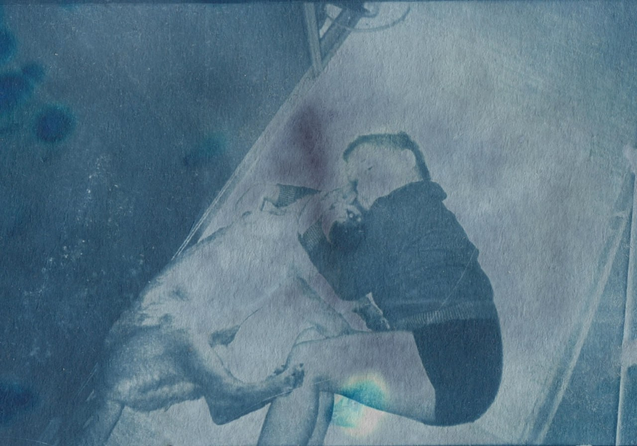 Мария Пилькевич «Когда ты от нас уедешь, я буду жить в твоей комнате». Самоорганизация Низина