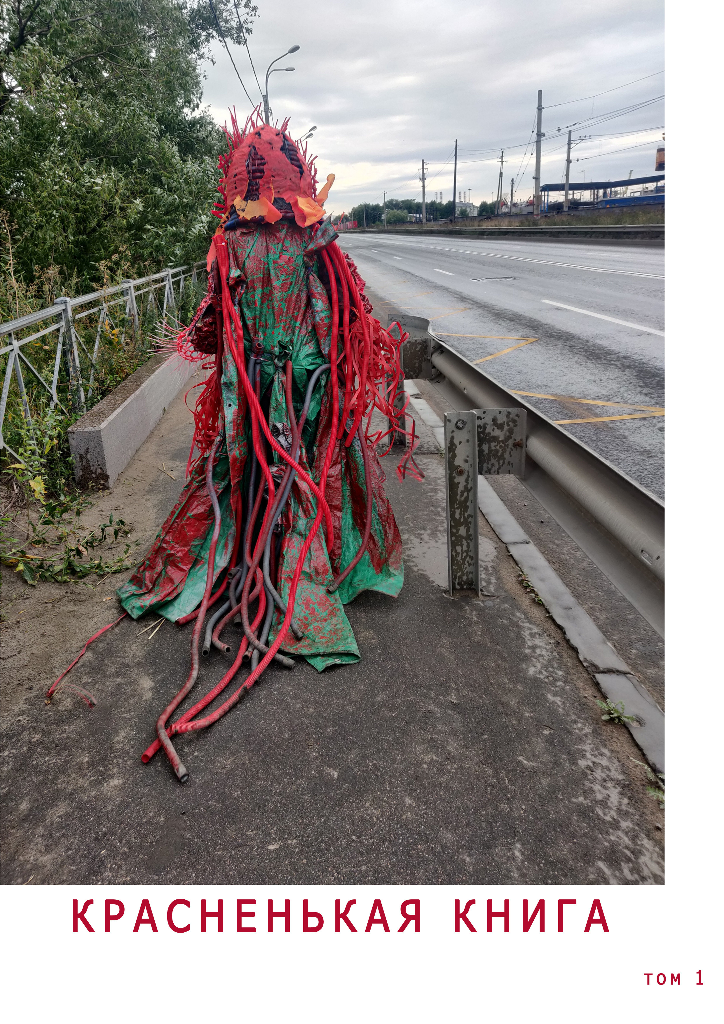 Красненькая книга том 1