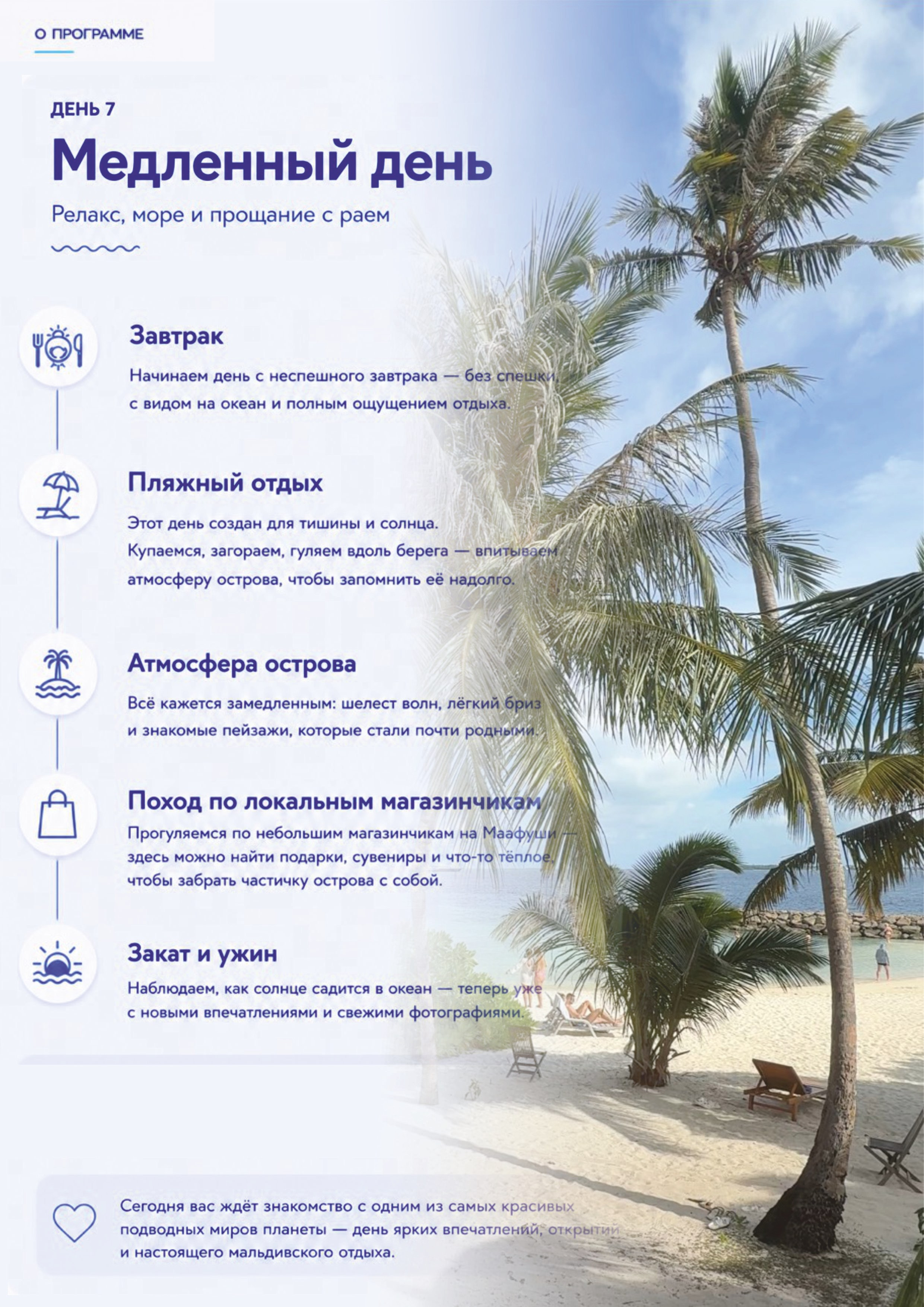 Авторский тур на Маафуши. Туристическое агентство на Мальдивах — АЛГА