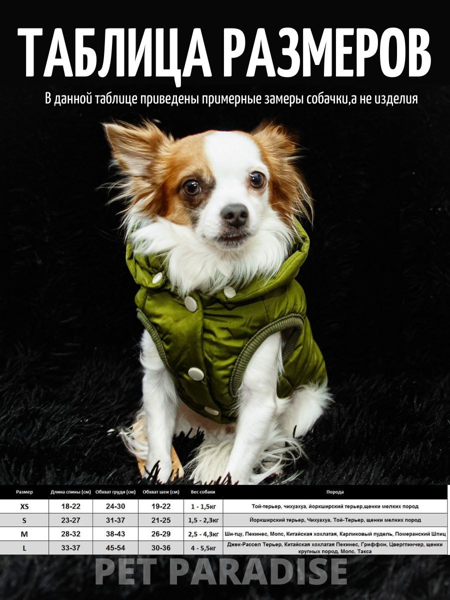 Товары для животных. INSPIRIA- Создание продающего контента для маркетплейсов в Москве и Московской области