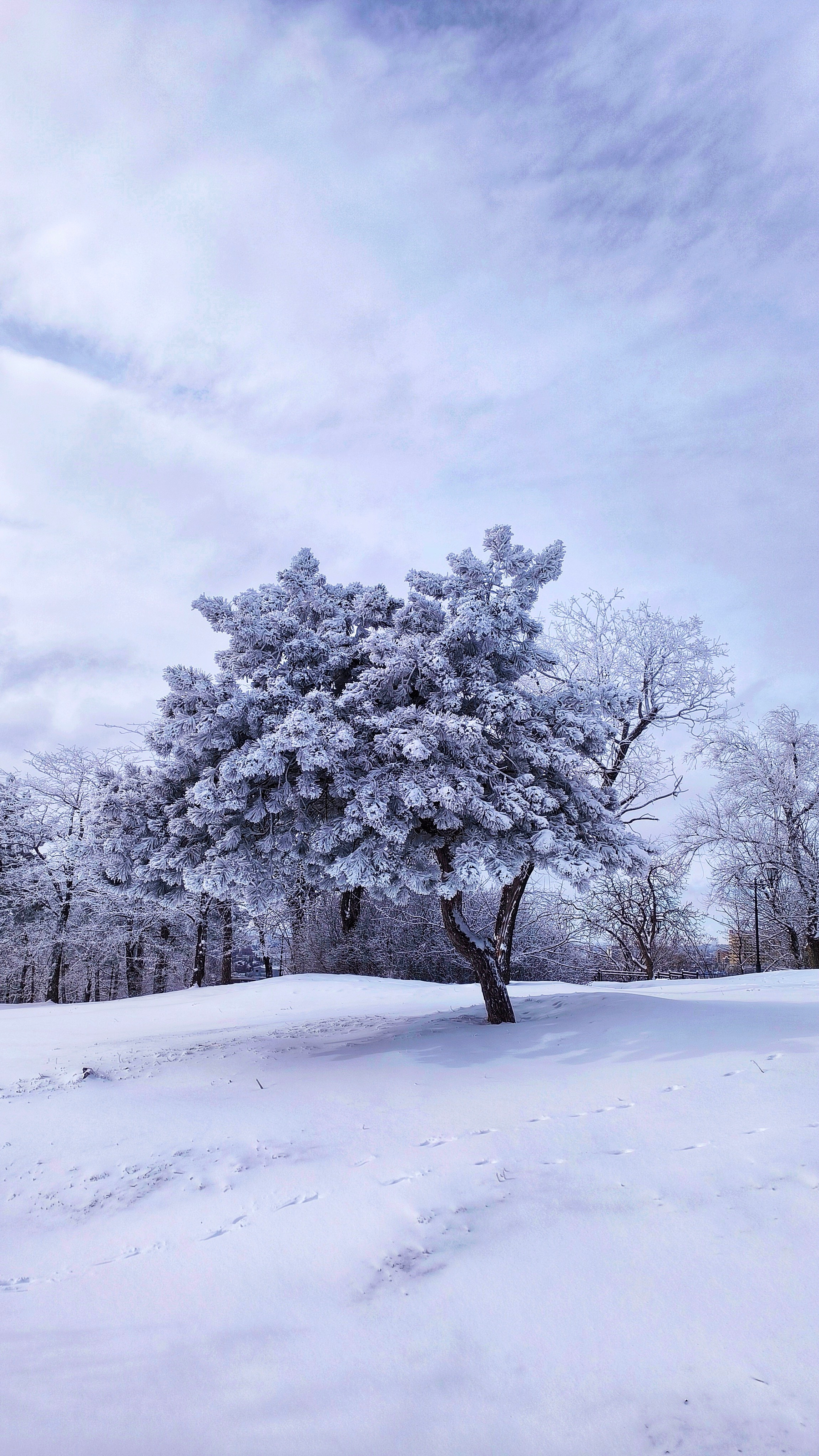 По-настоящему зимний Пятигорск. Фотосайт Андрея Прокопенко