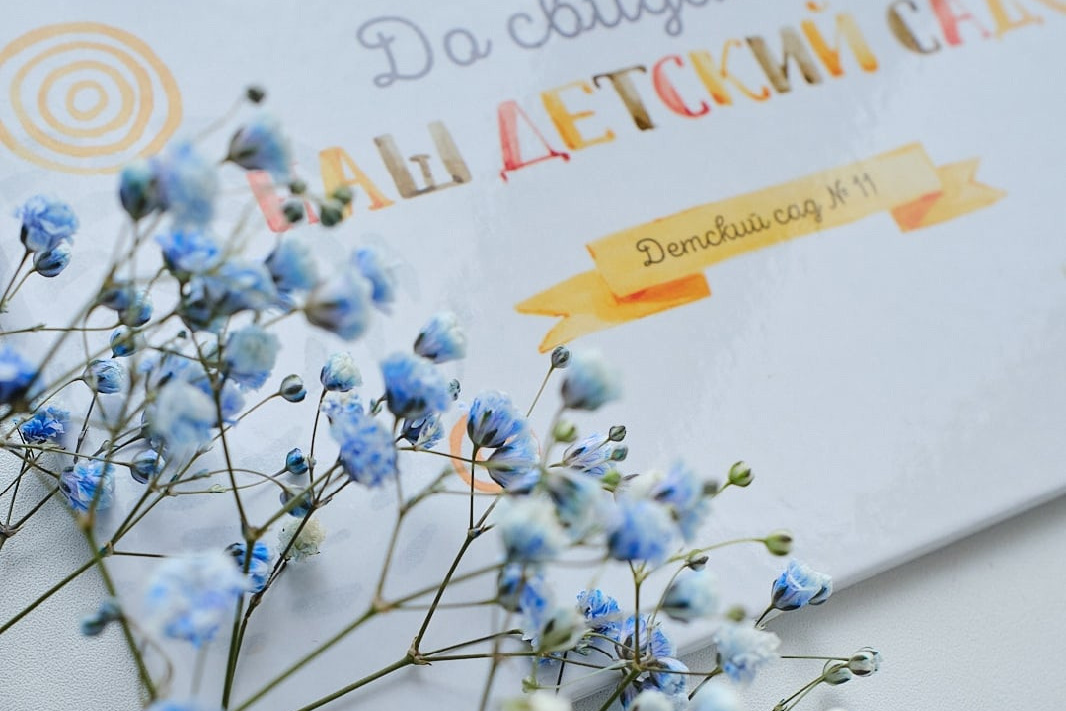 Детские Сады. Школьный и семейный фотограф в Йошкар-Оле Татьяна Баркалова