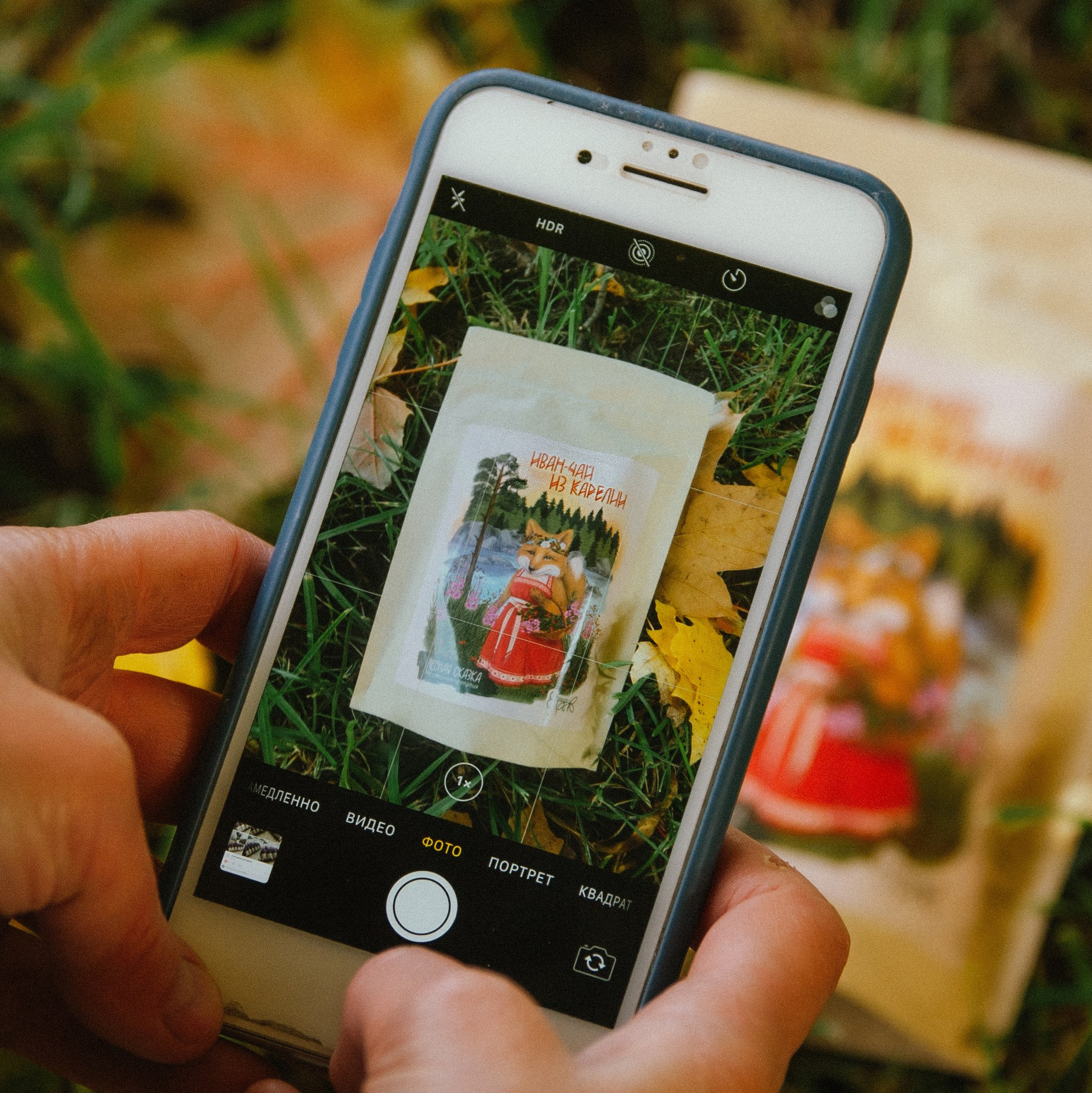 Услуги и цены. Кошенкова Мария: портретный и репортажный фотограф. Санкт-Петербург