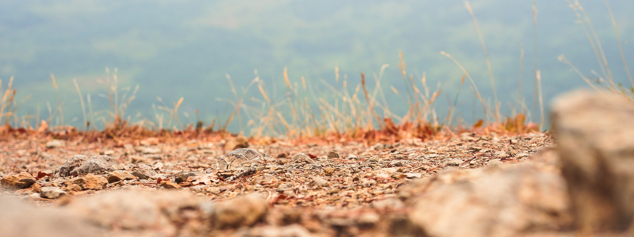 Боткинская тропа. Фотограф из Москвы — DASHA NOVA | Авторская фотография в разных жанрах