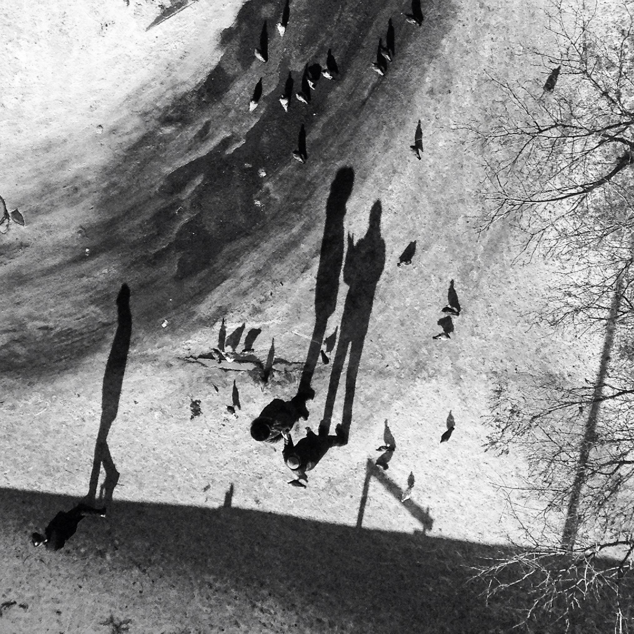 Фотографии Марины Бурнашовой