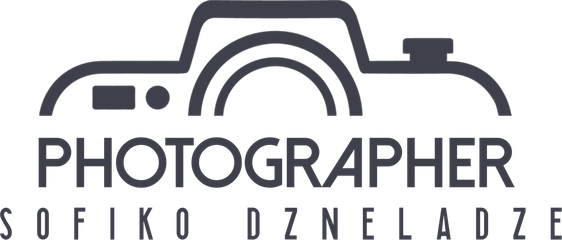 sofikodzneladze.wfolio.pro