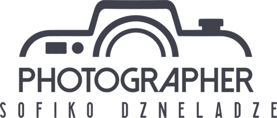 sofikodzneladze.wfolio.pro