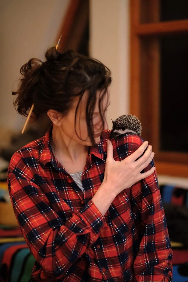 О ХУДОЖНИКЕ. Художник Перепеченова-Феофанова Анна